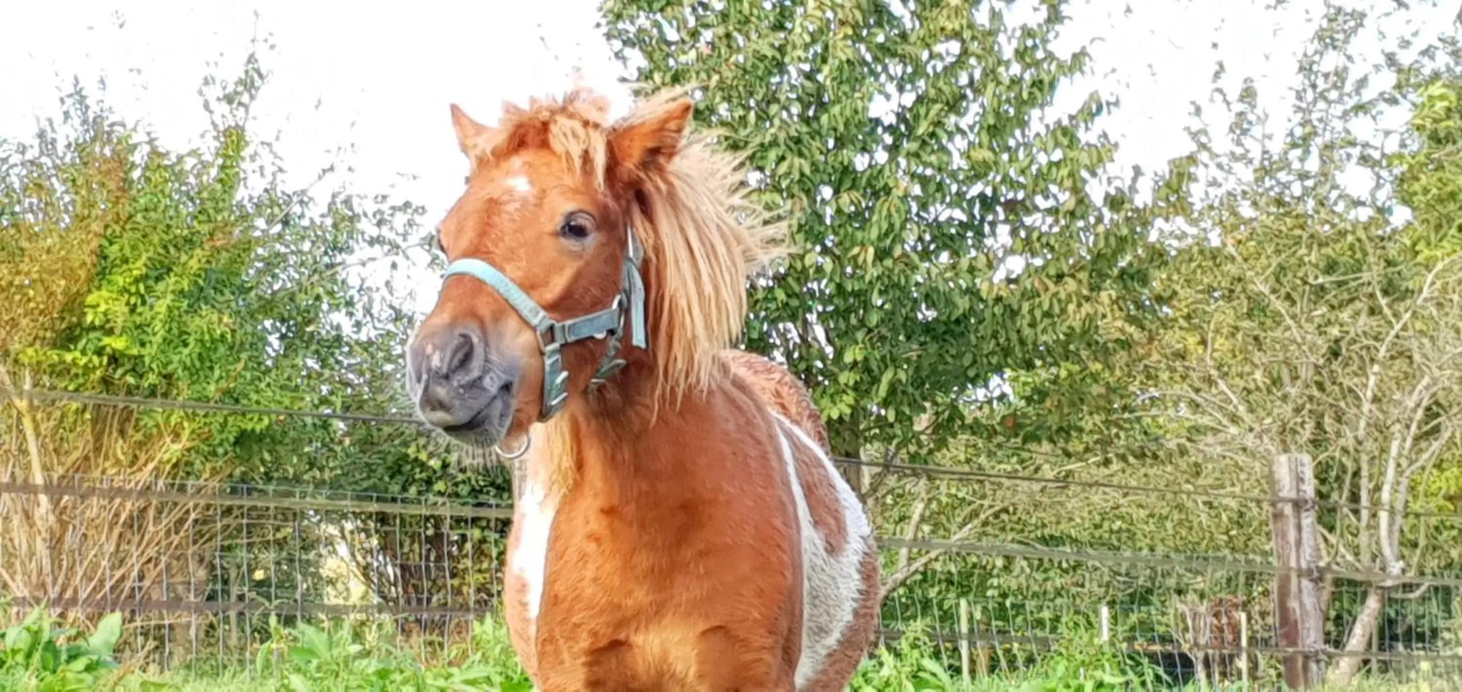 Property building in La Fermette des Ramolleux