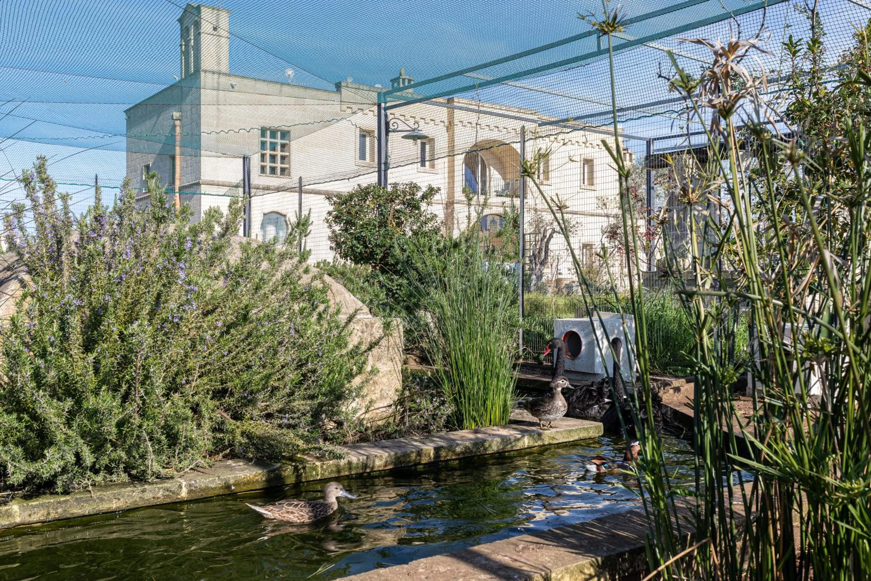 Animals in Relais Borgo Segine