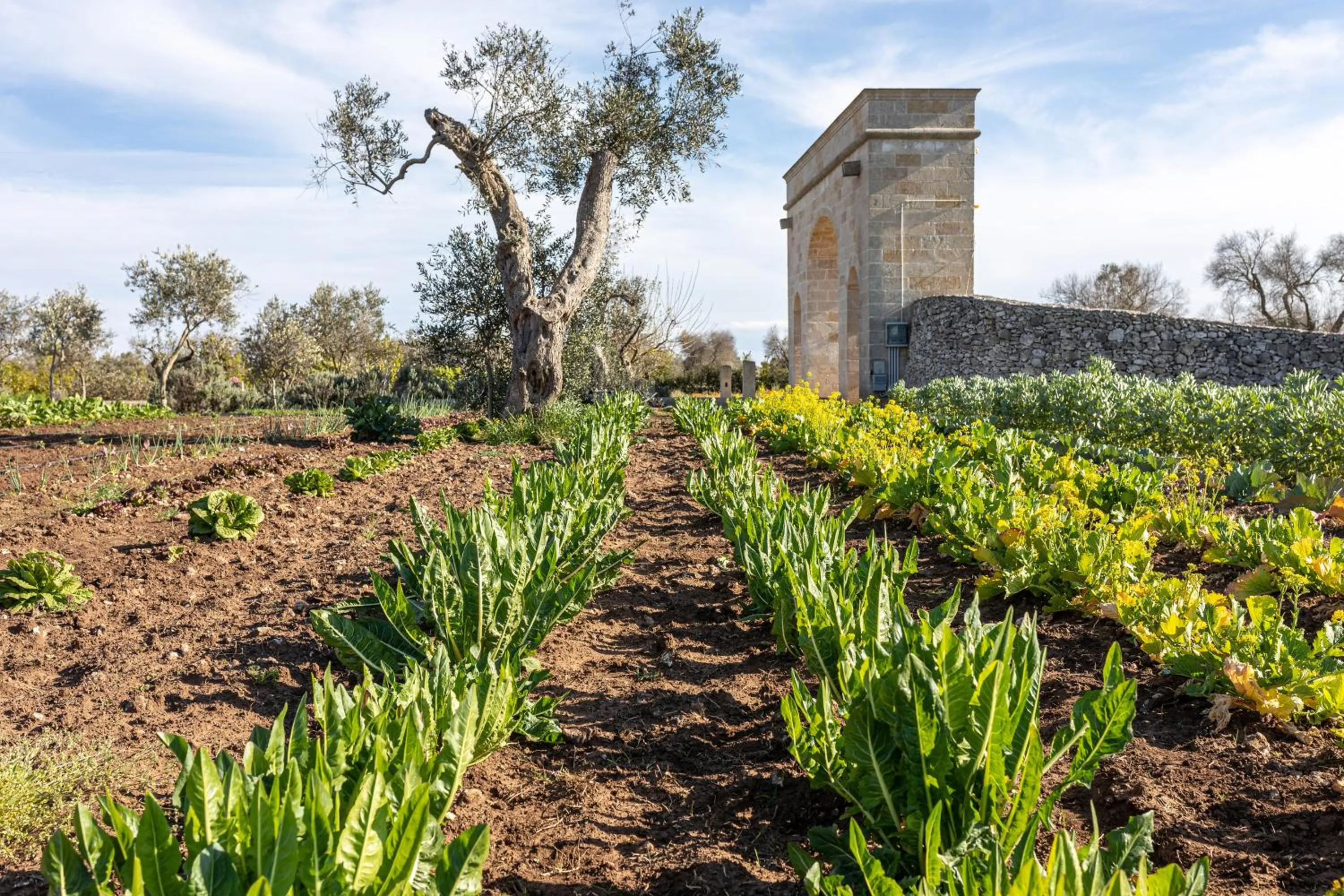 Garden in Relais Borgo Segine