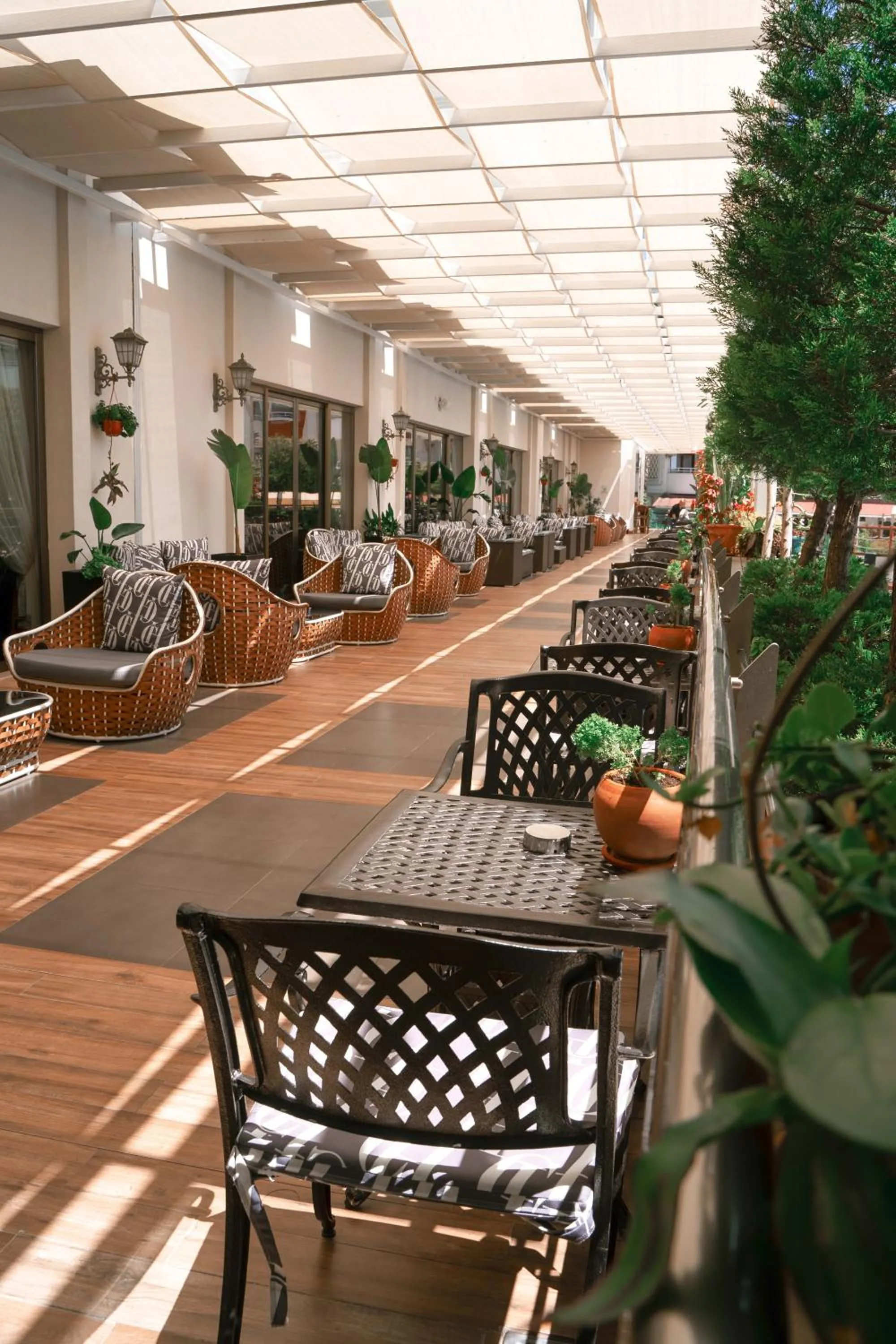 Balcony/Terrace in Castival Hotel