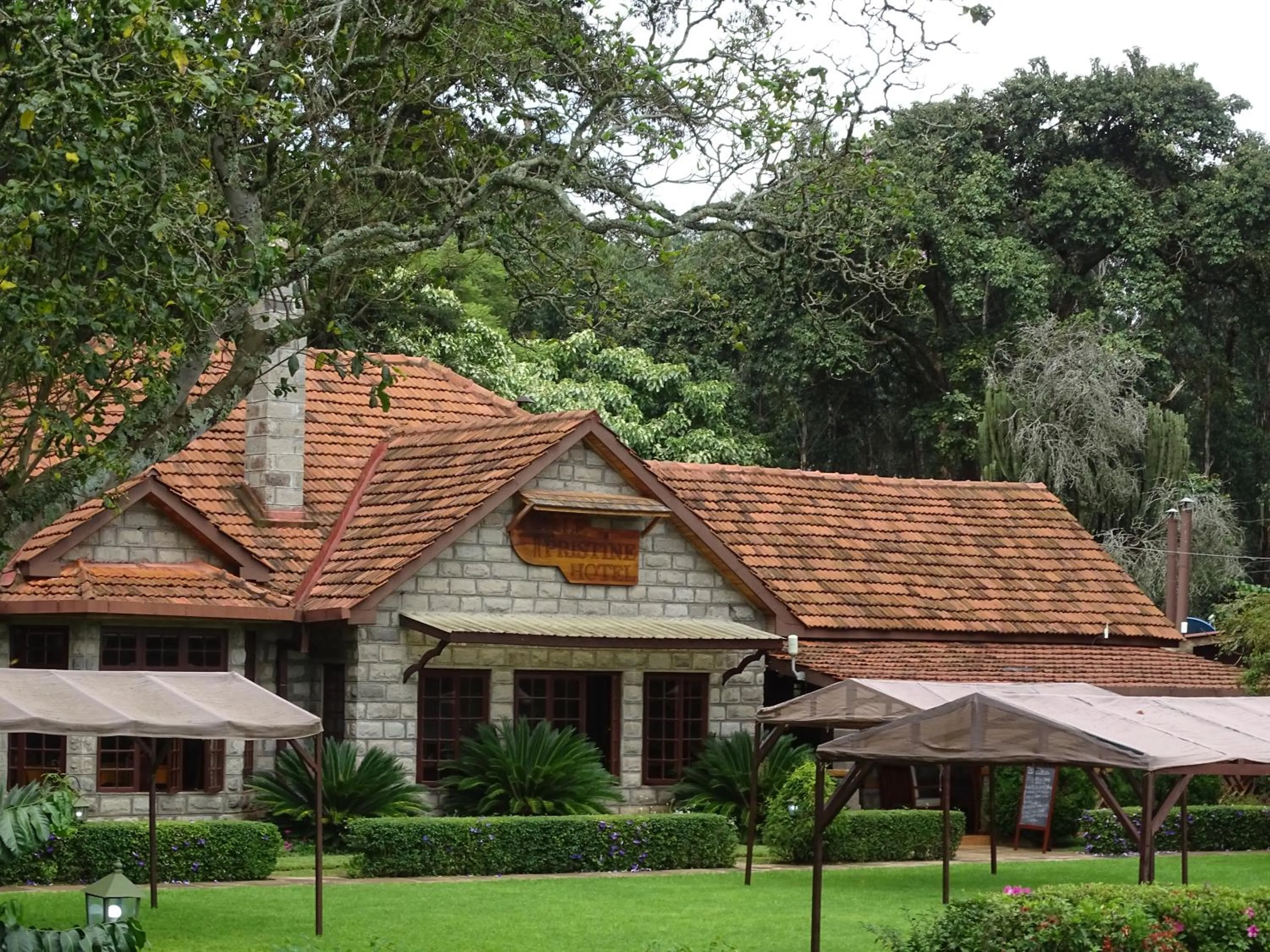 Garden in Le Pristine Wellness and Healing Hotel
