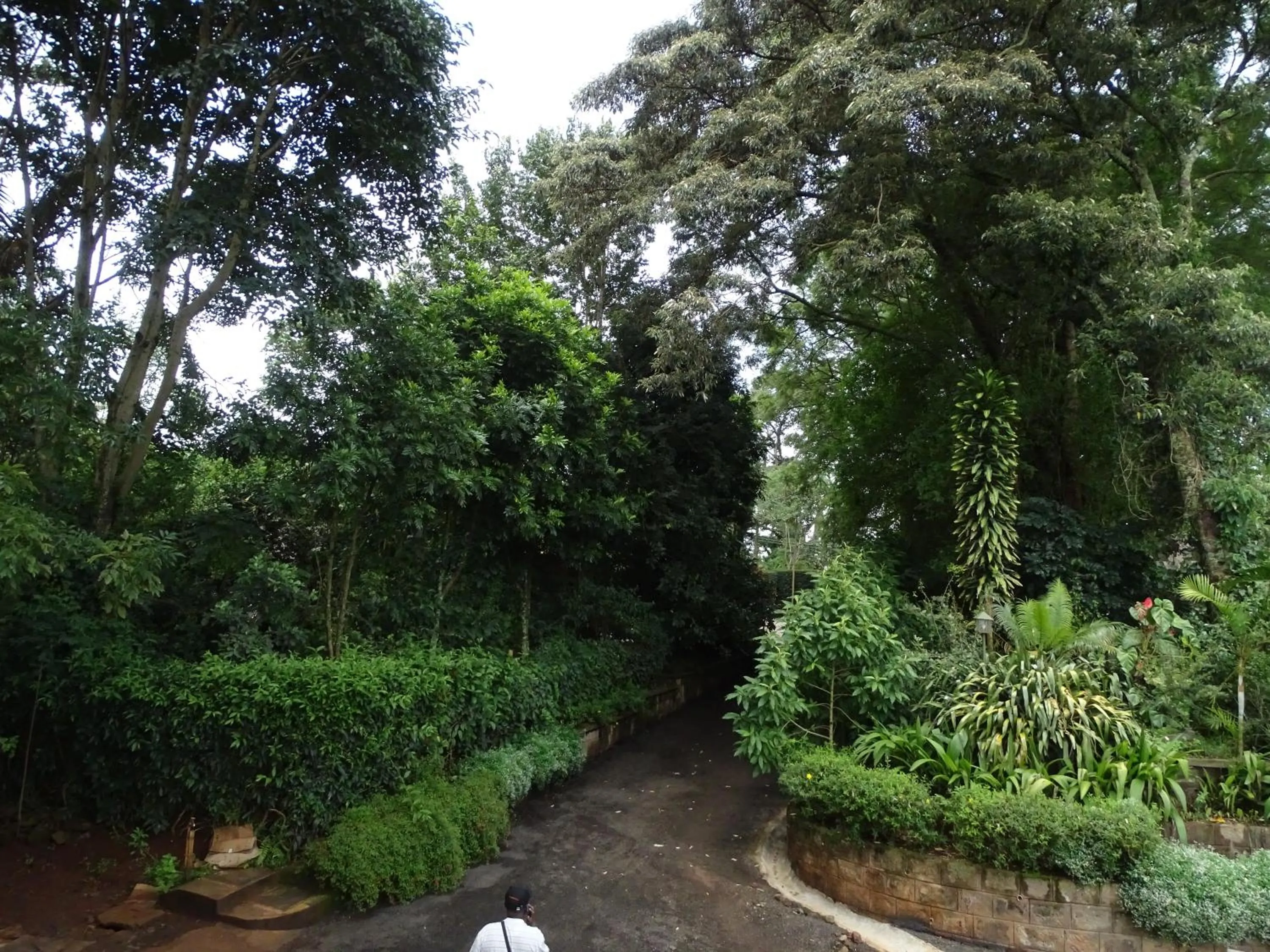 Garden in Le Pristine Wellness and Healing Hotel