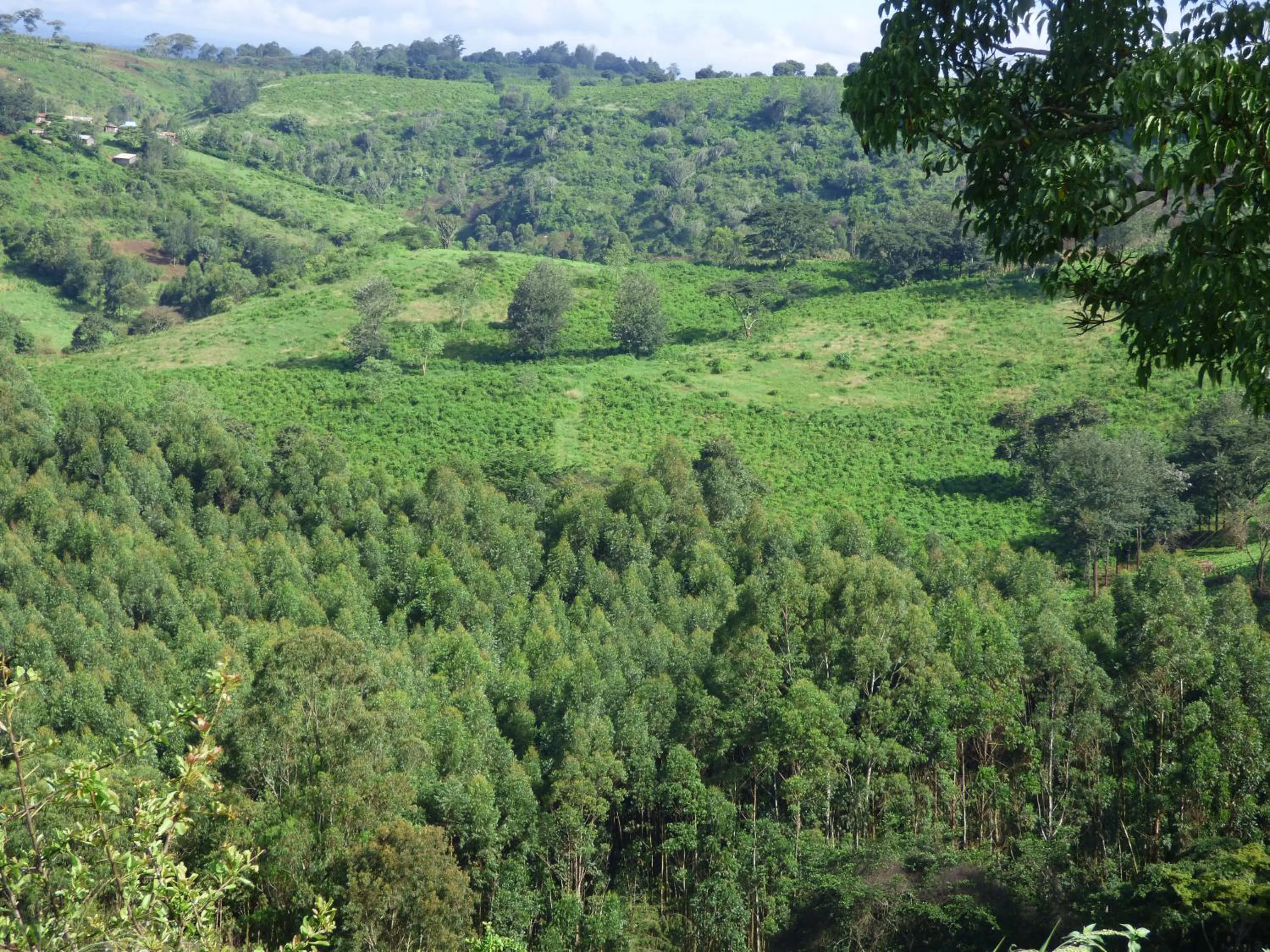 Day in Le Pristine Wellness and Healing Hotel