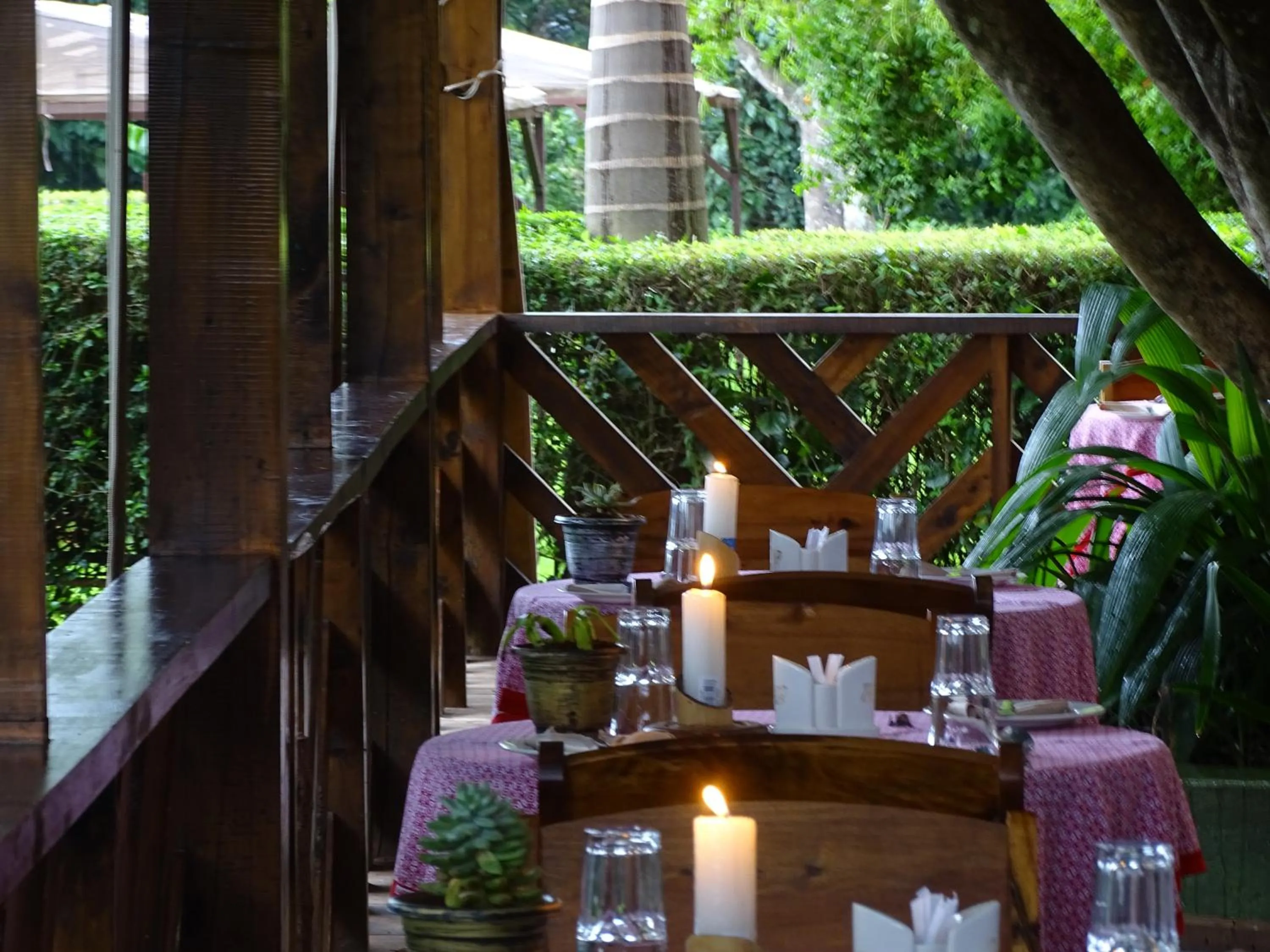 Patio in Le Pristine Wellness and Healing Hotel