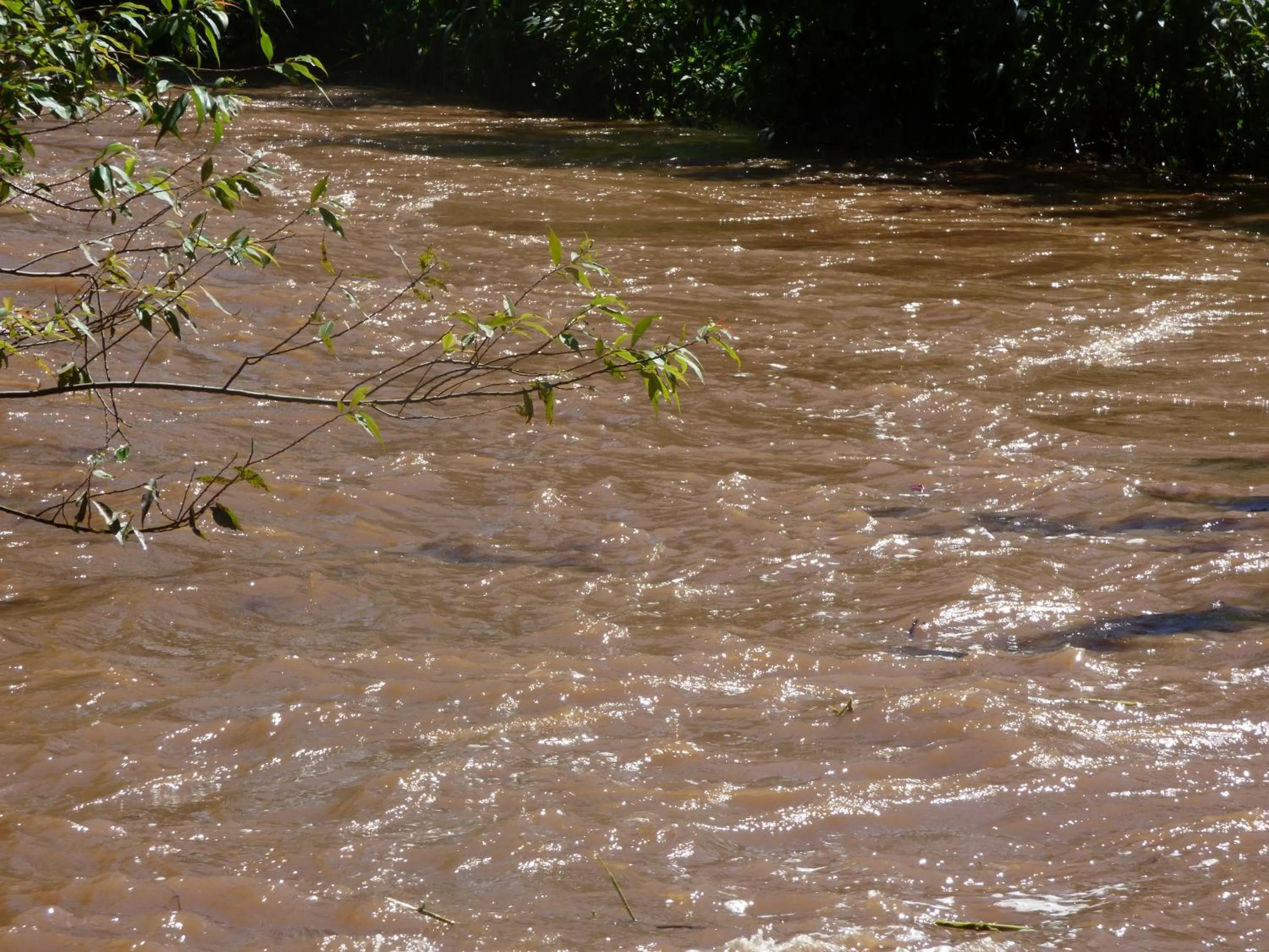 Natural landscape in Le Pristine Wellness and Healing Hotel