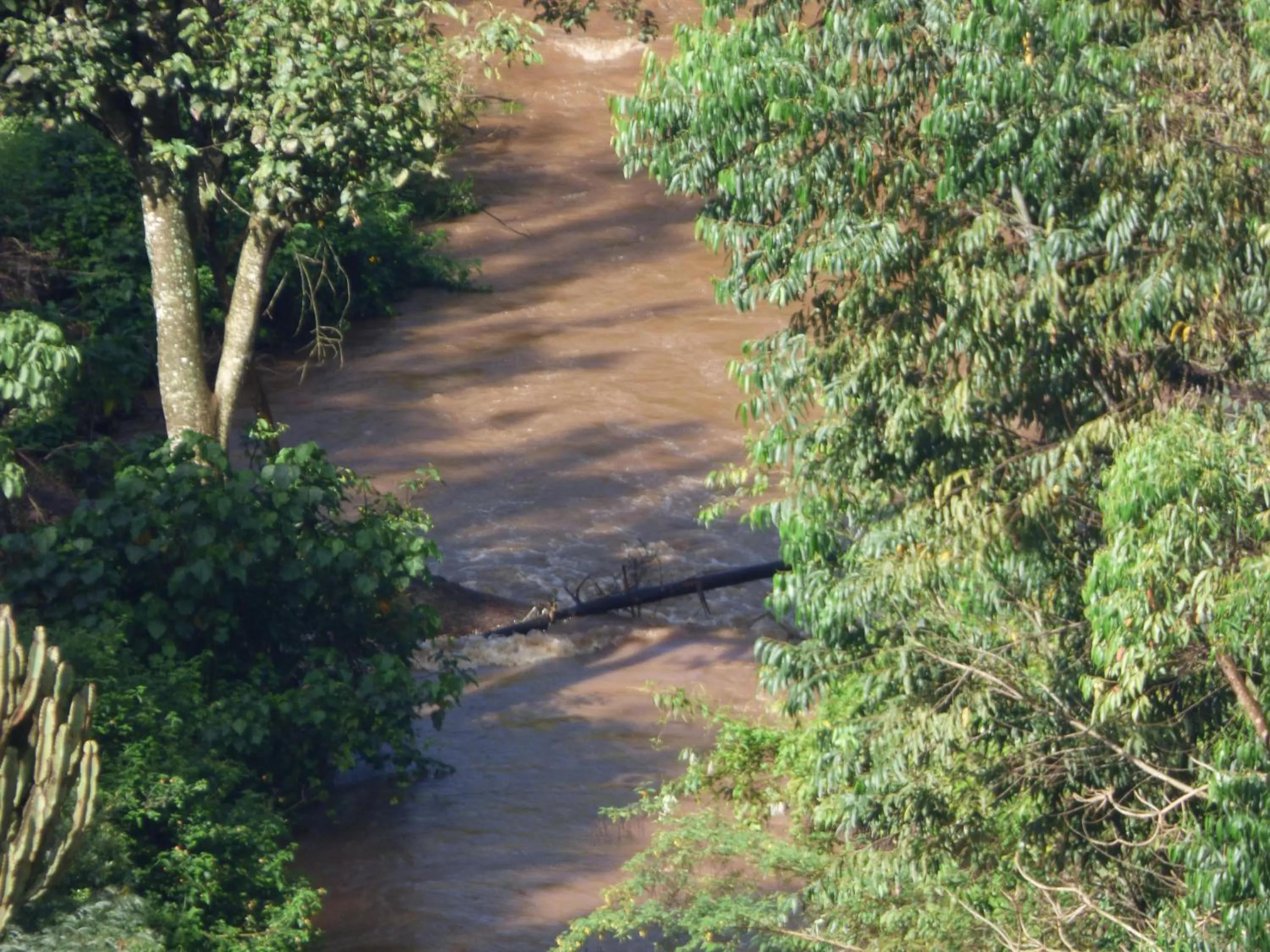 Natural landscape in Le Pristine Wellness and Healing Hotel