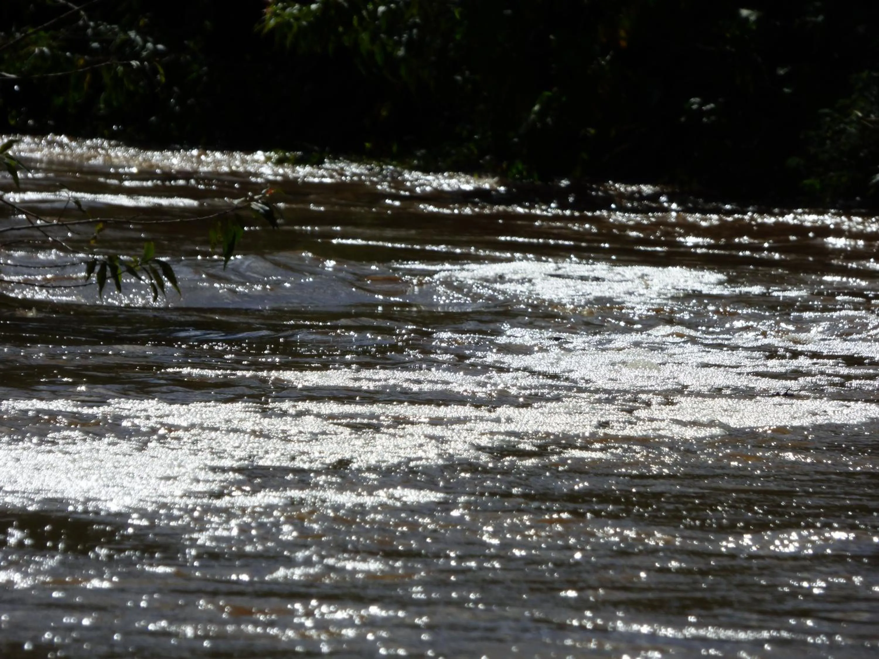 Natural landscape in Le Pristine Wellness and Healing Hotel