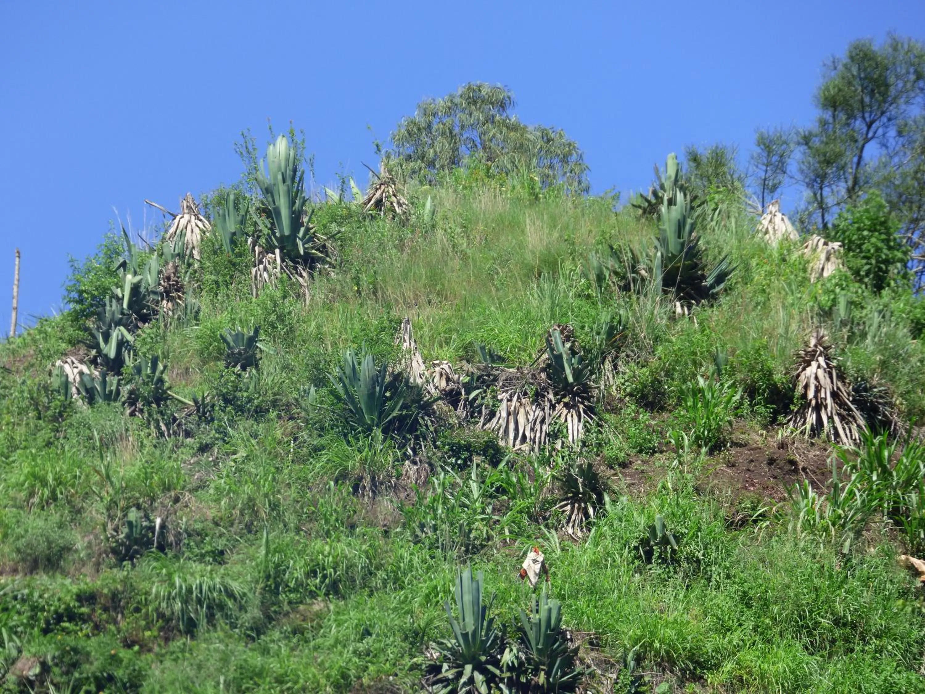 Off site in Le Pristine Wellness and Healing Hotel