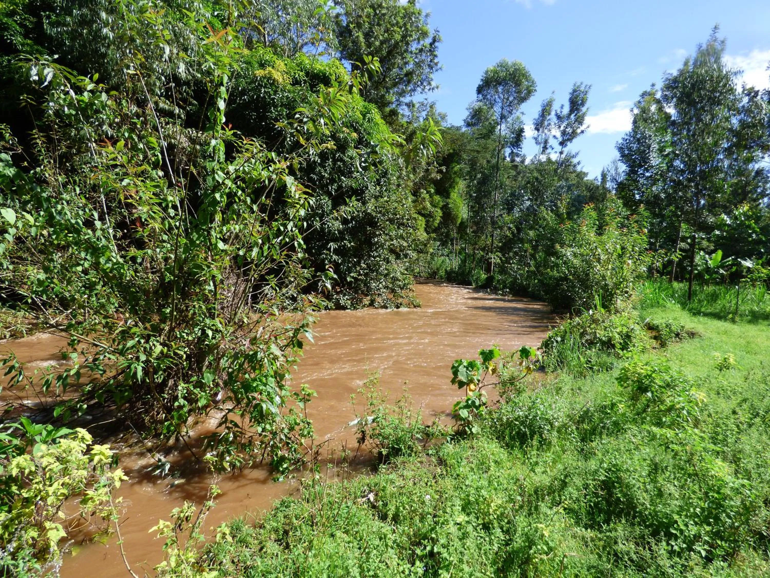 Natural landscape in Le Pristine Wellness and Healing Hotel