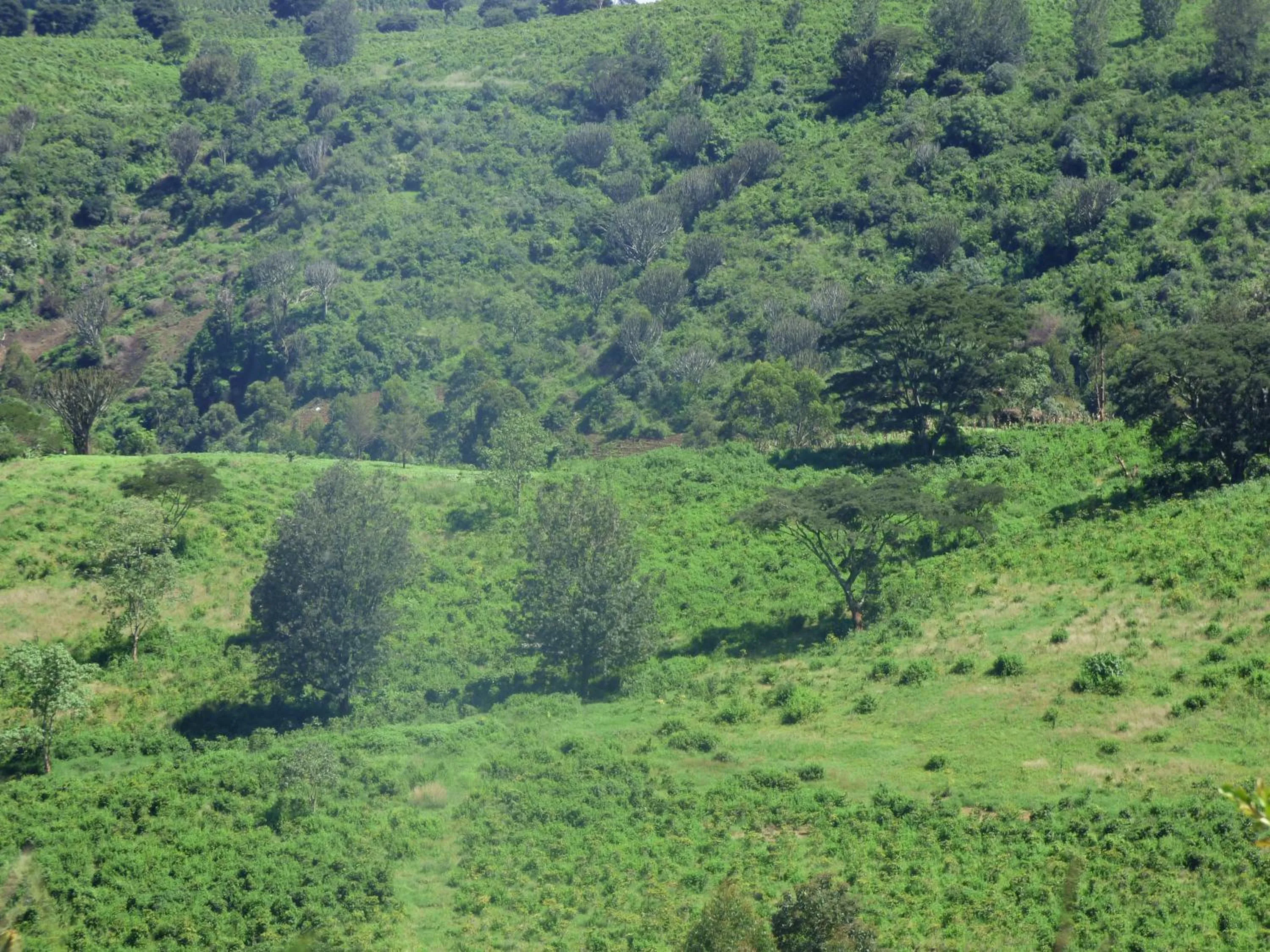 Day in Le Pristine Wellness and Healing Hotel