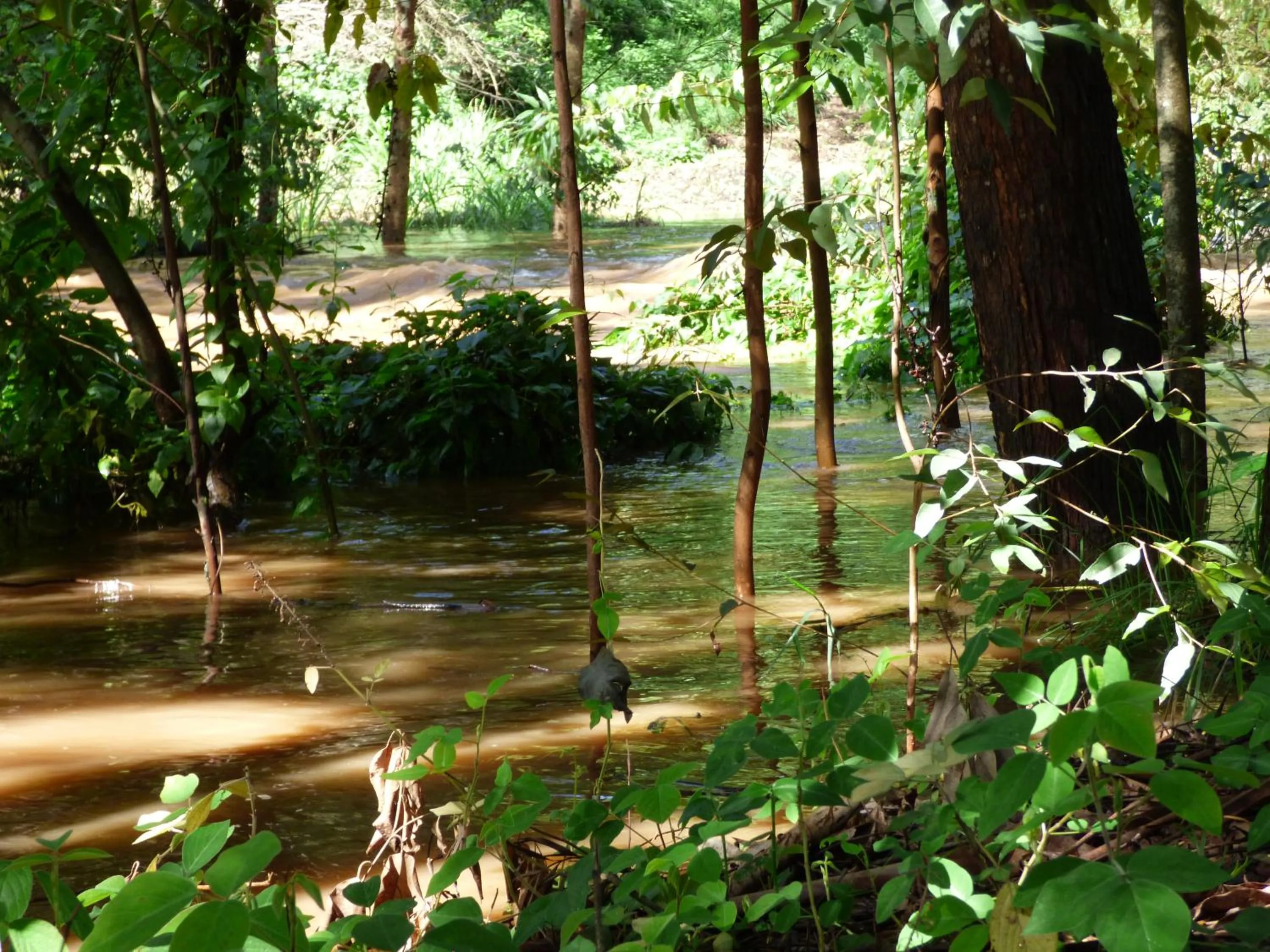 Nearby landmark in Le Pristine Wellness and Healing Hotel