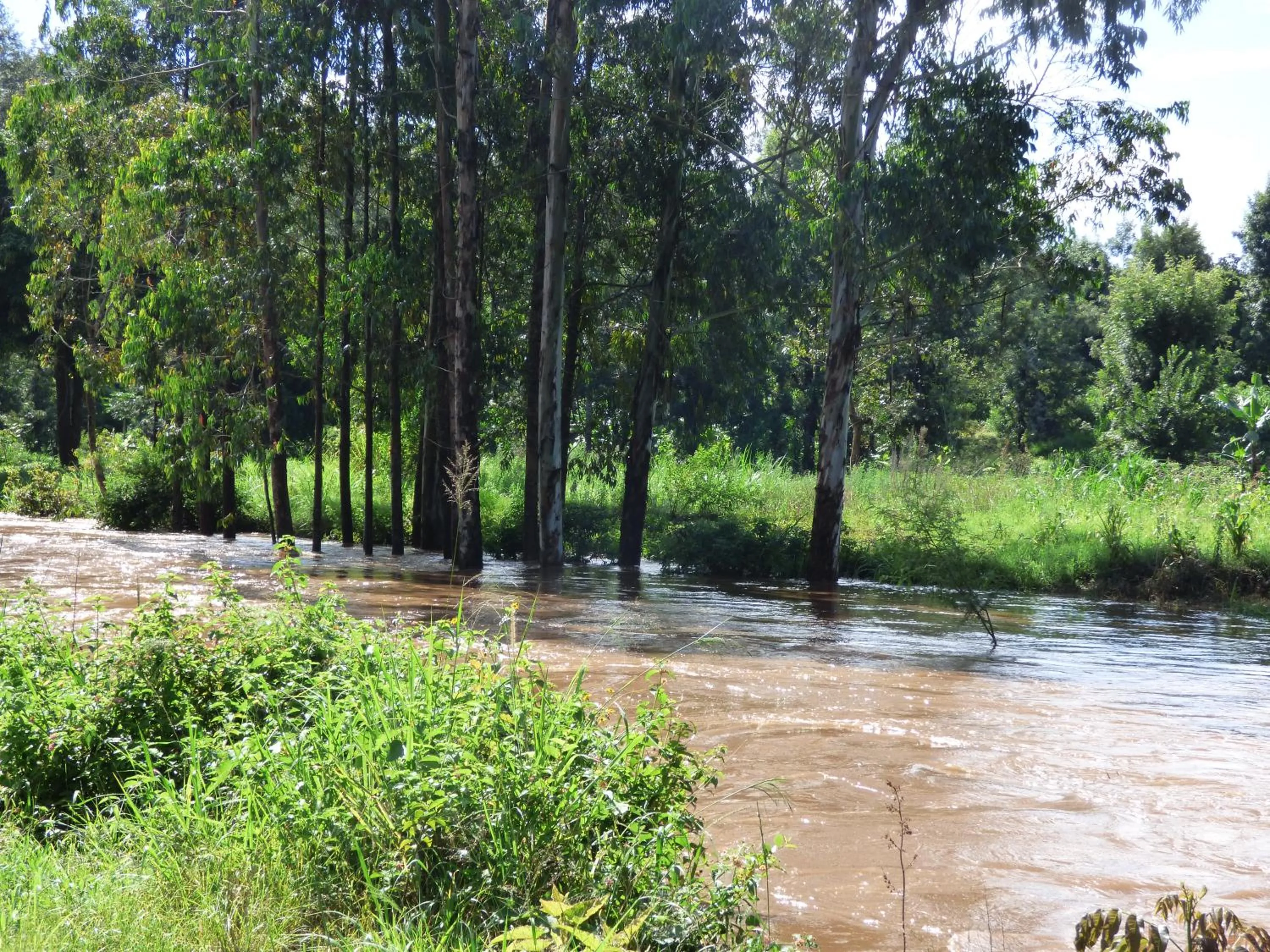 Neighbourhood in Le Pristine Wellness and Healing Hotel