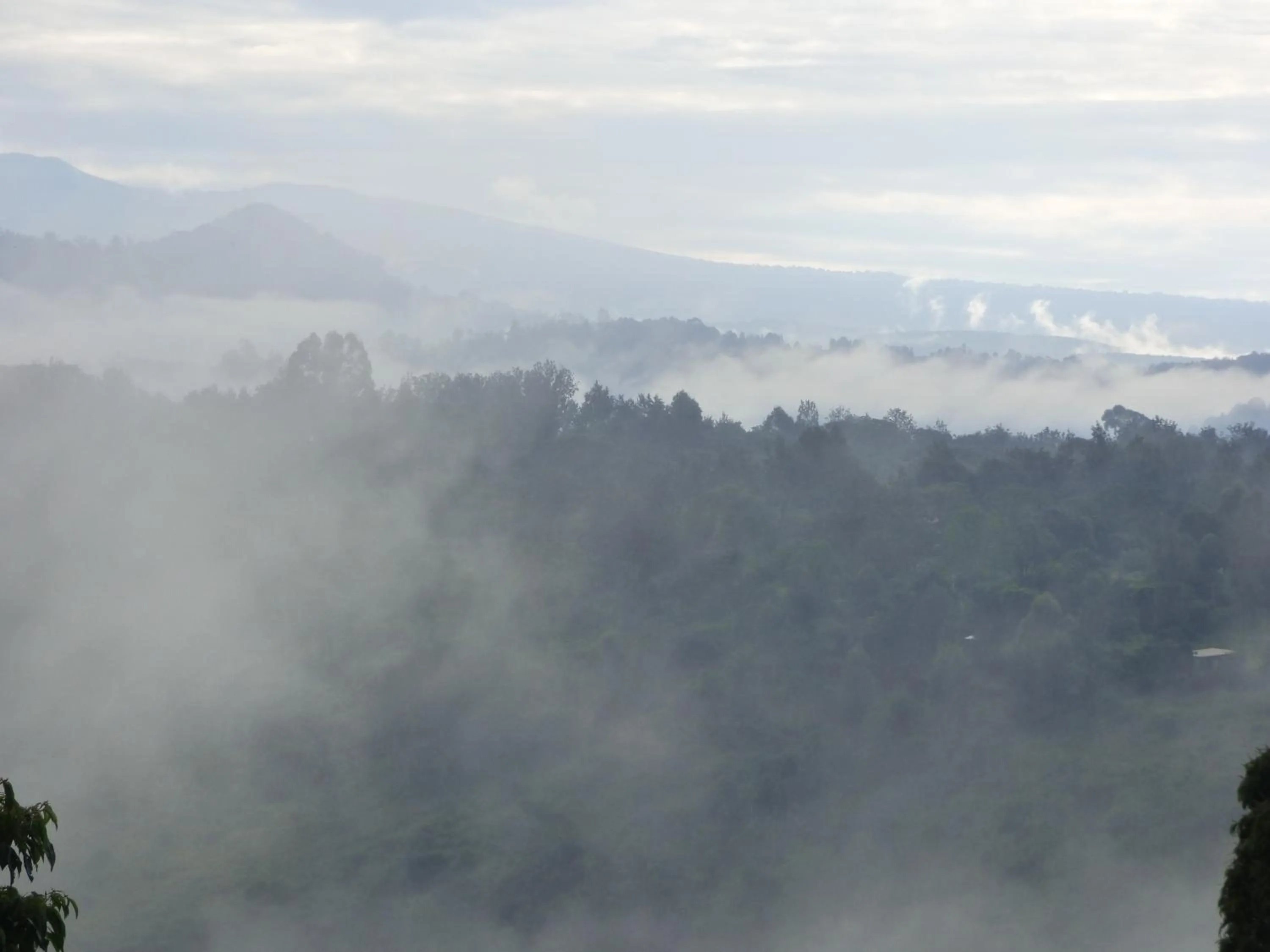 Natural landscape in Le Pristine Wellness and Healing Hotel