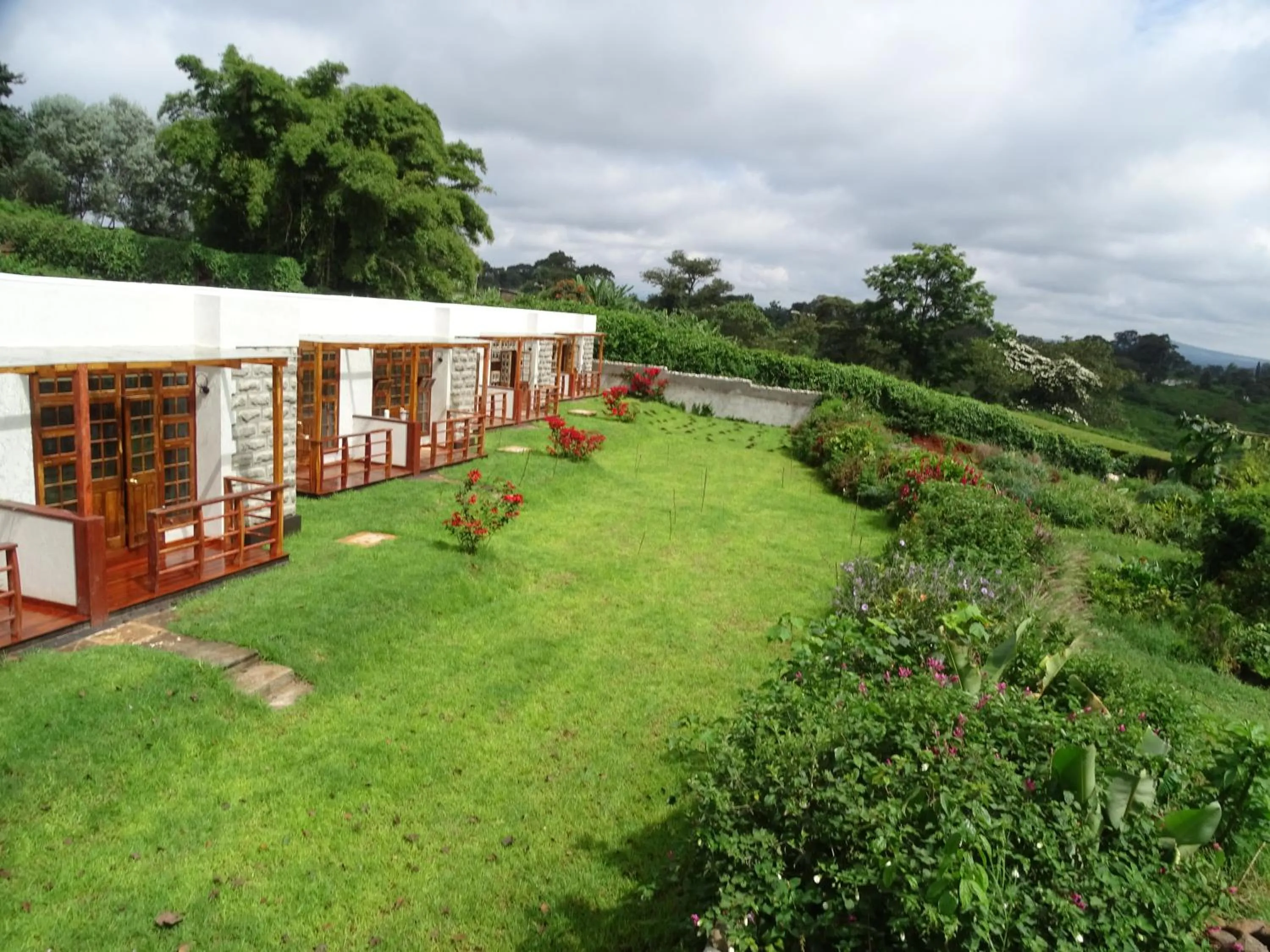 Garden in Le Pristine Wellness and Healing Hotel