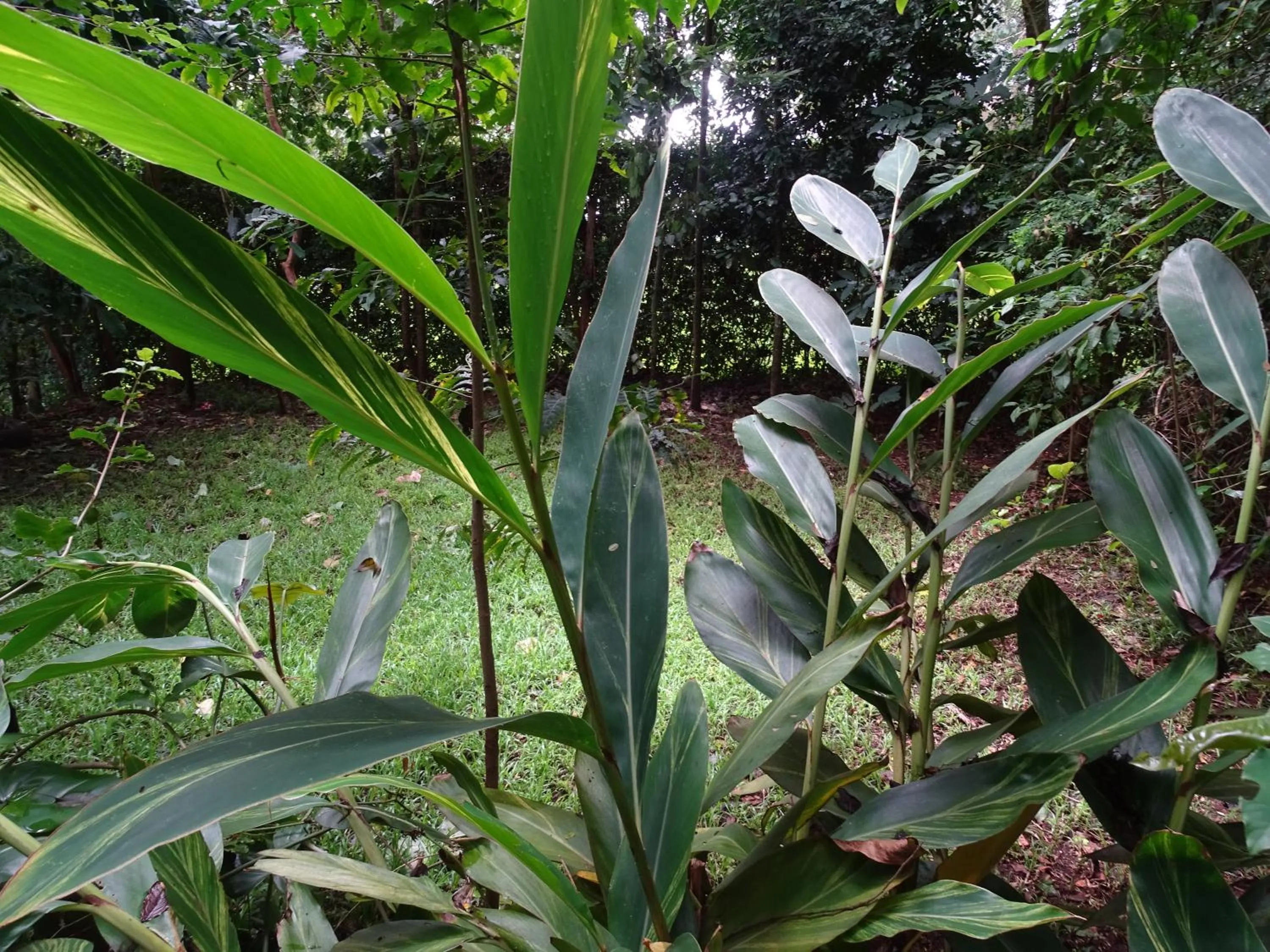 Day in Le Pristine Wellness and Healing Hotel