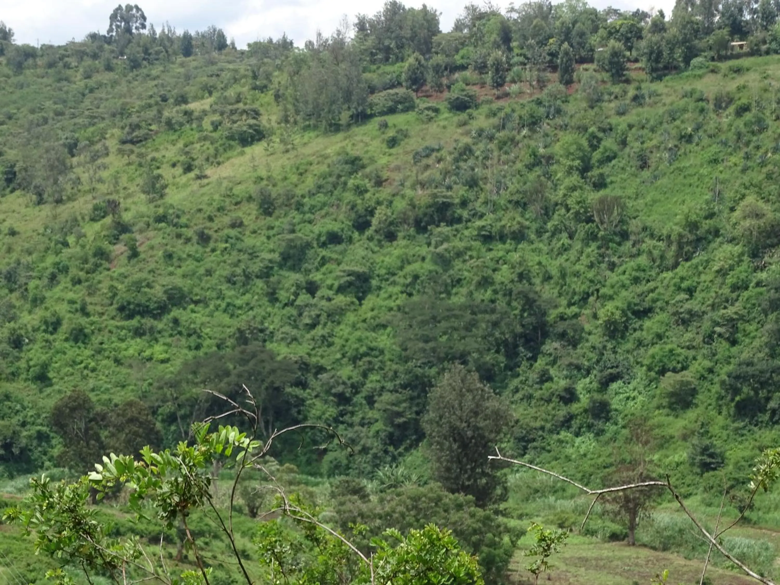 Natural landscape in Le Pristine Wellness and Healing Hotel