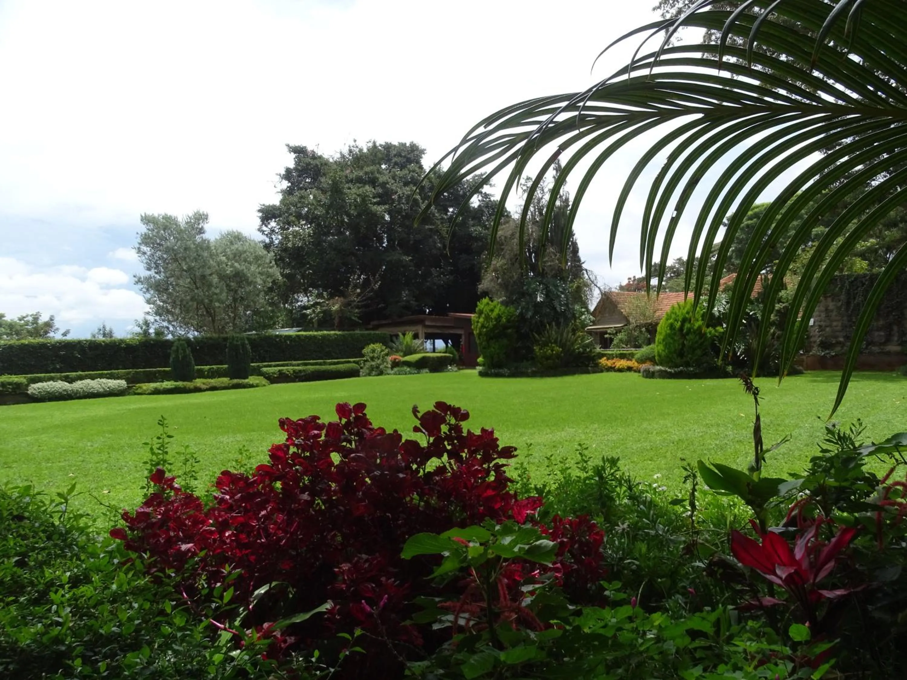 Day in Le Pristine Wellness and Healing Hotel