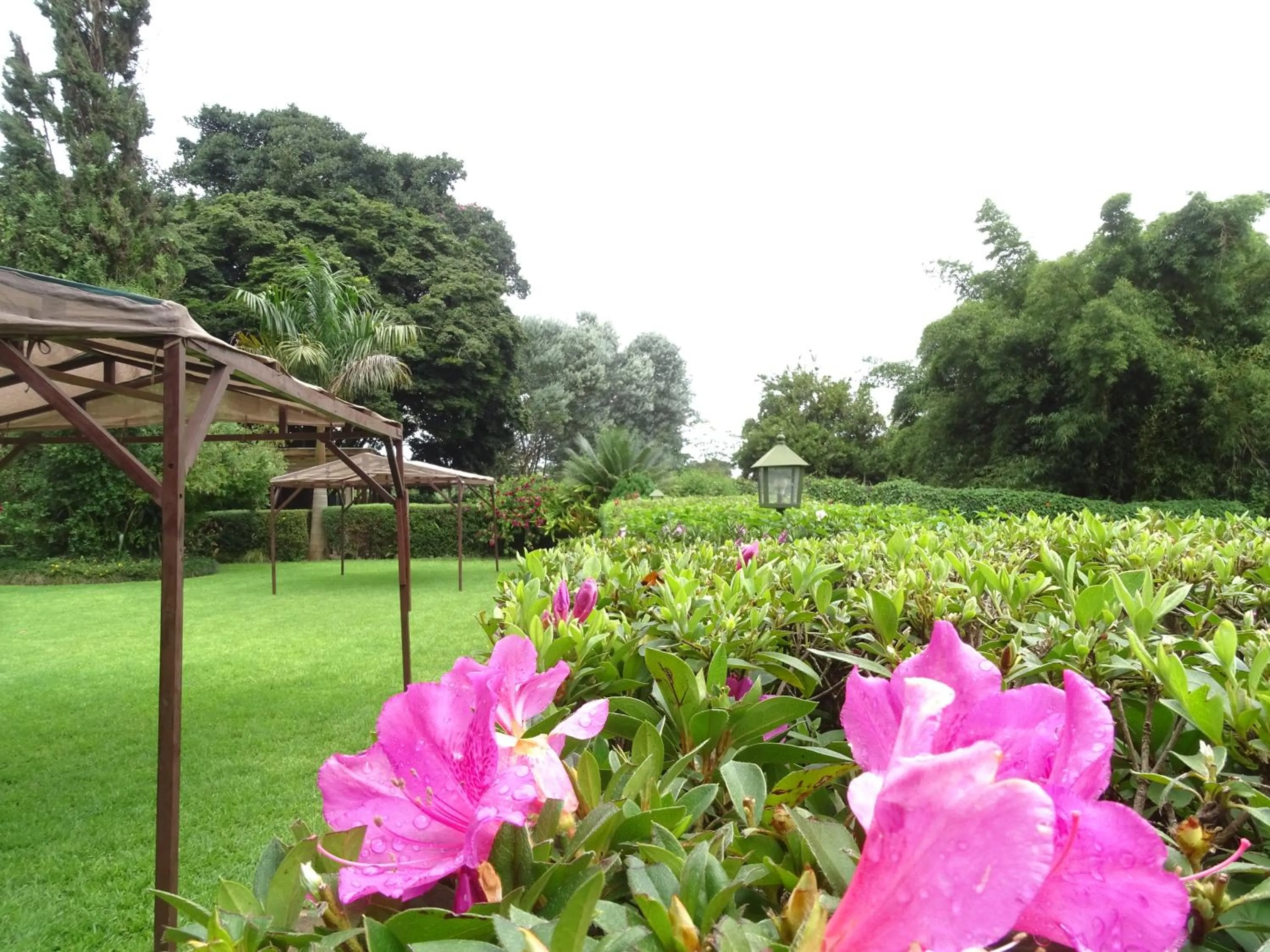 Garden in Le Pristine Wellness and Healing Hotel
