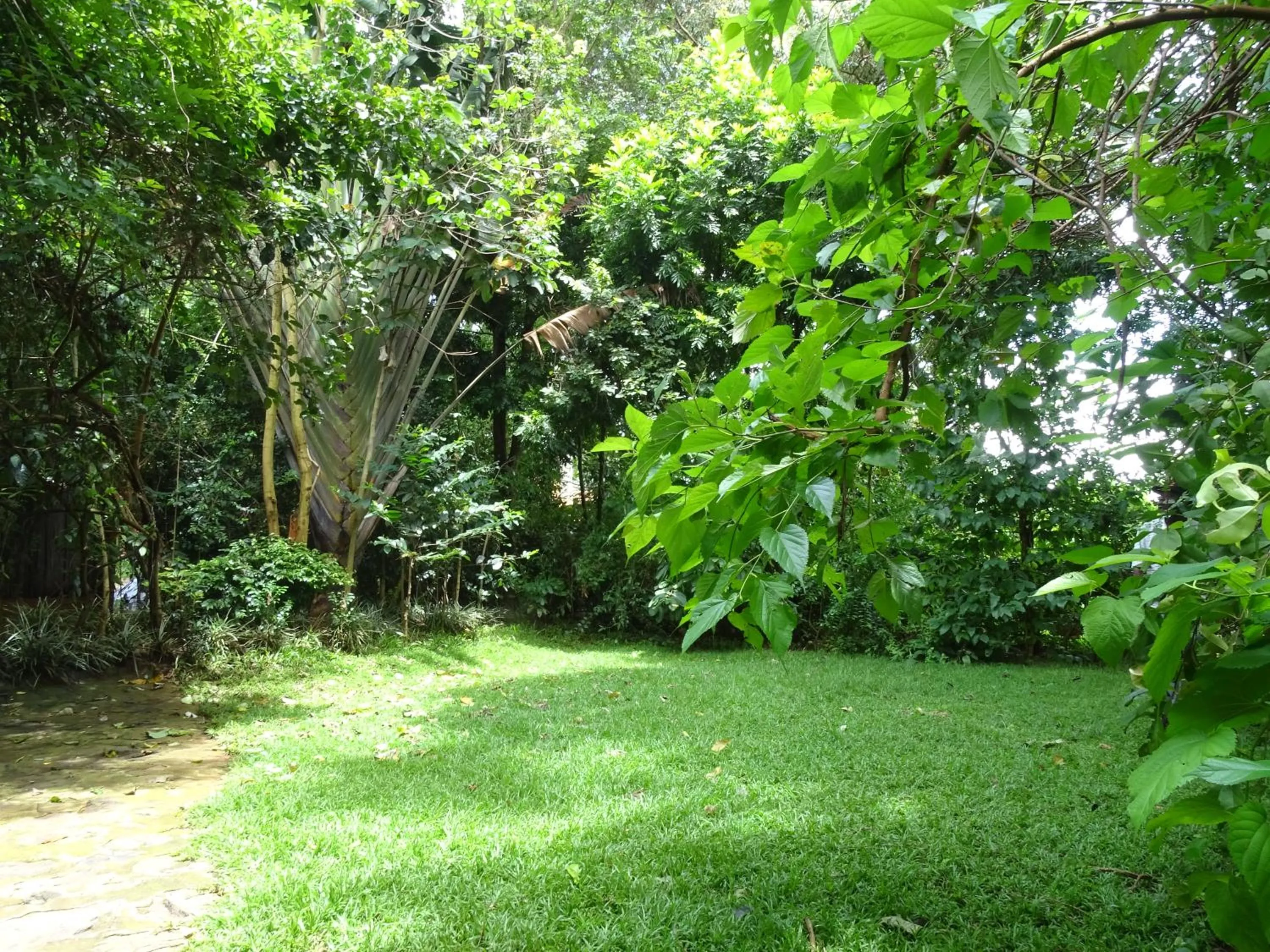 Day in Le Pristine Wellness and Healing Hotel