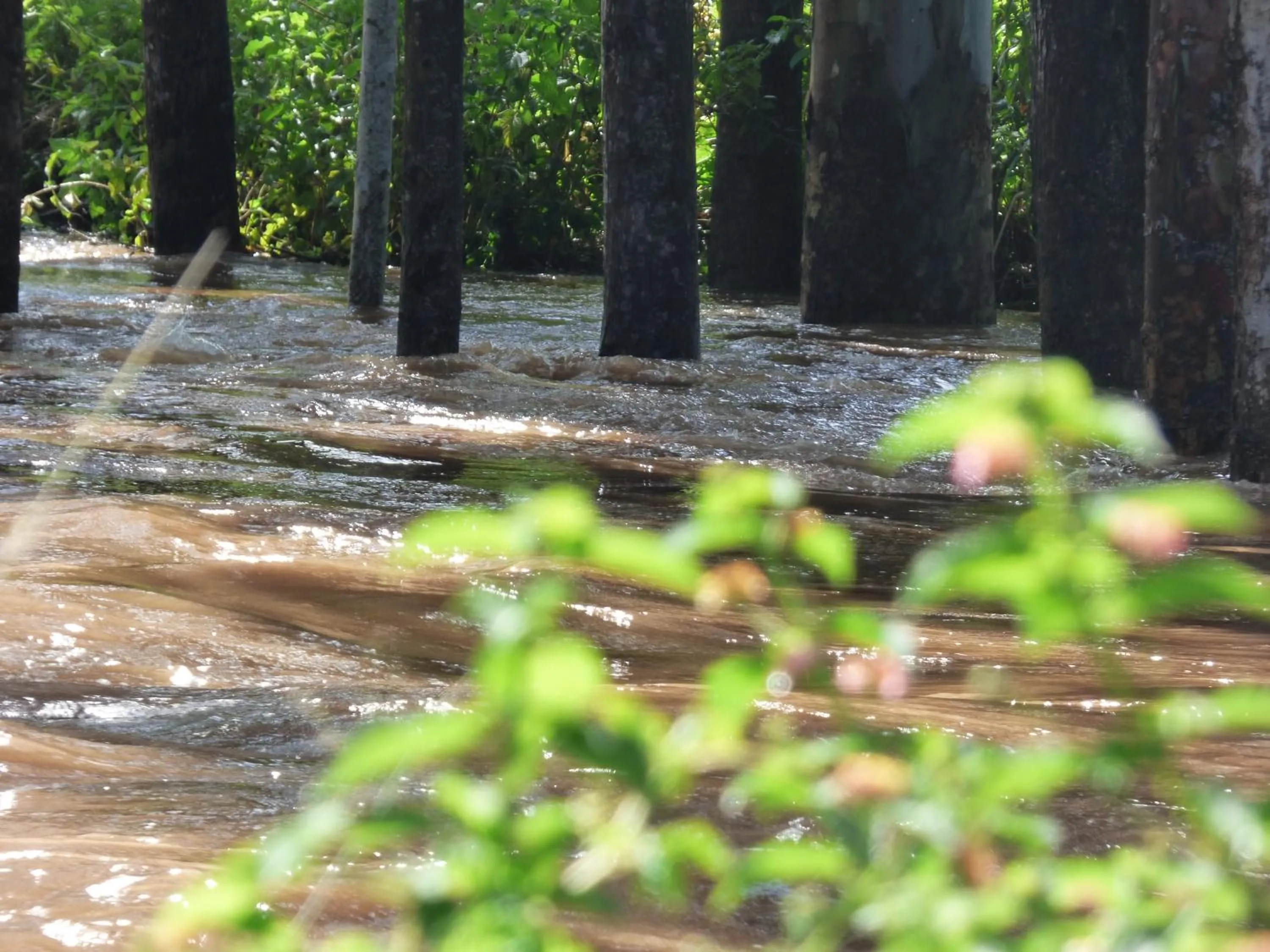 Natural landscape in Le Pristine Wellness and Healing Hotel
