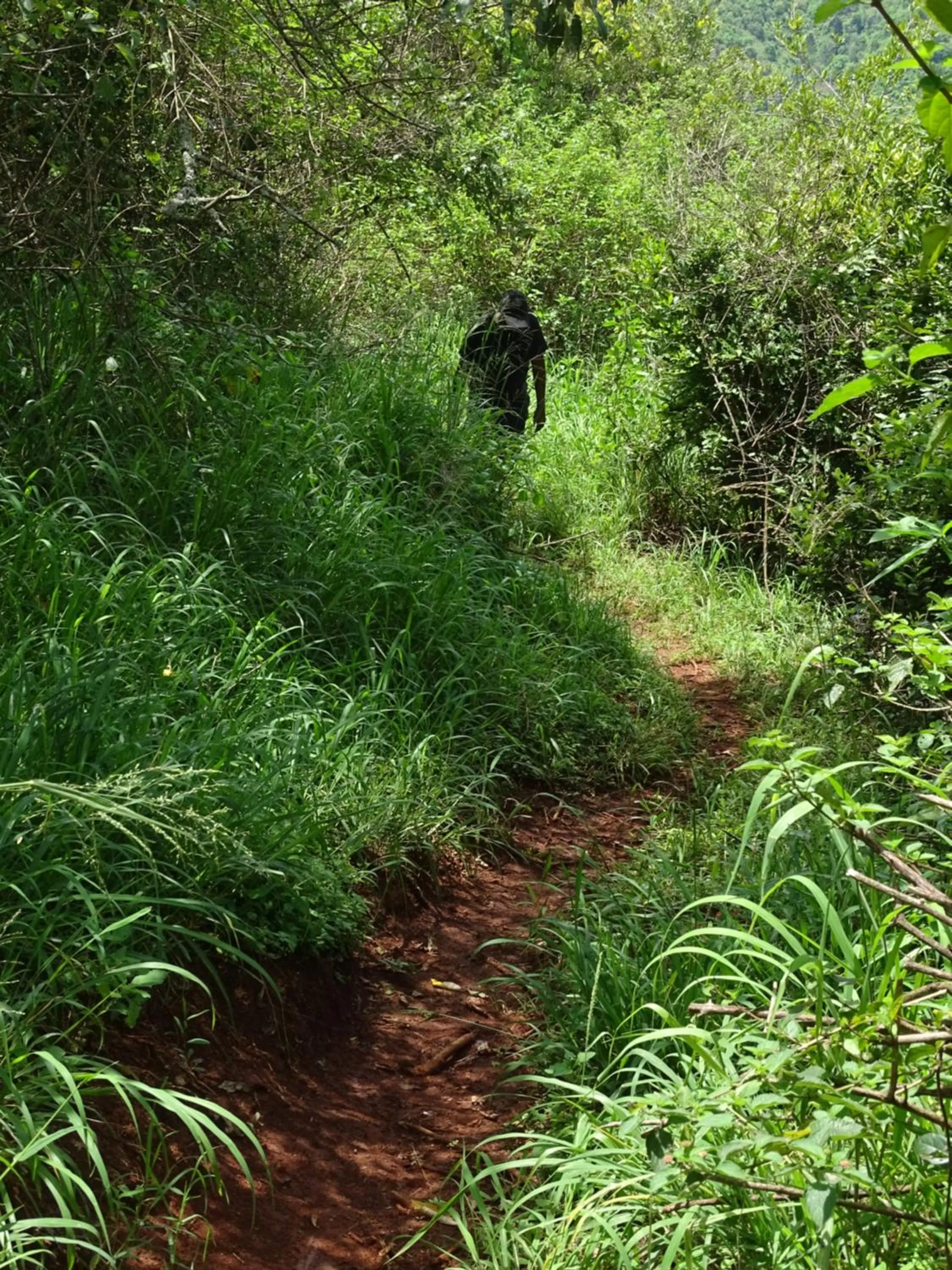 Day in Le Pristine Wellness and Healing Hotel