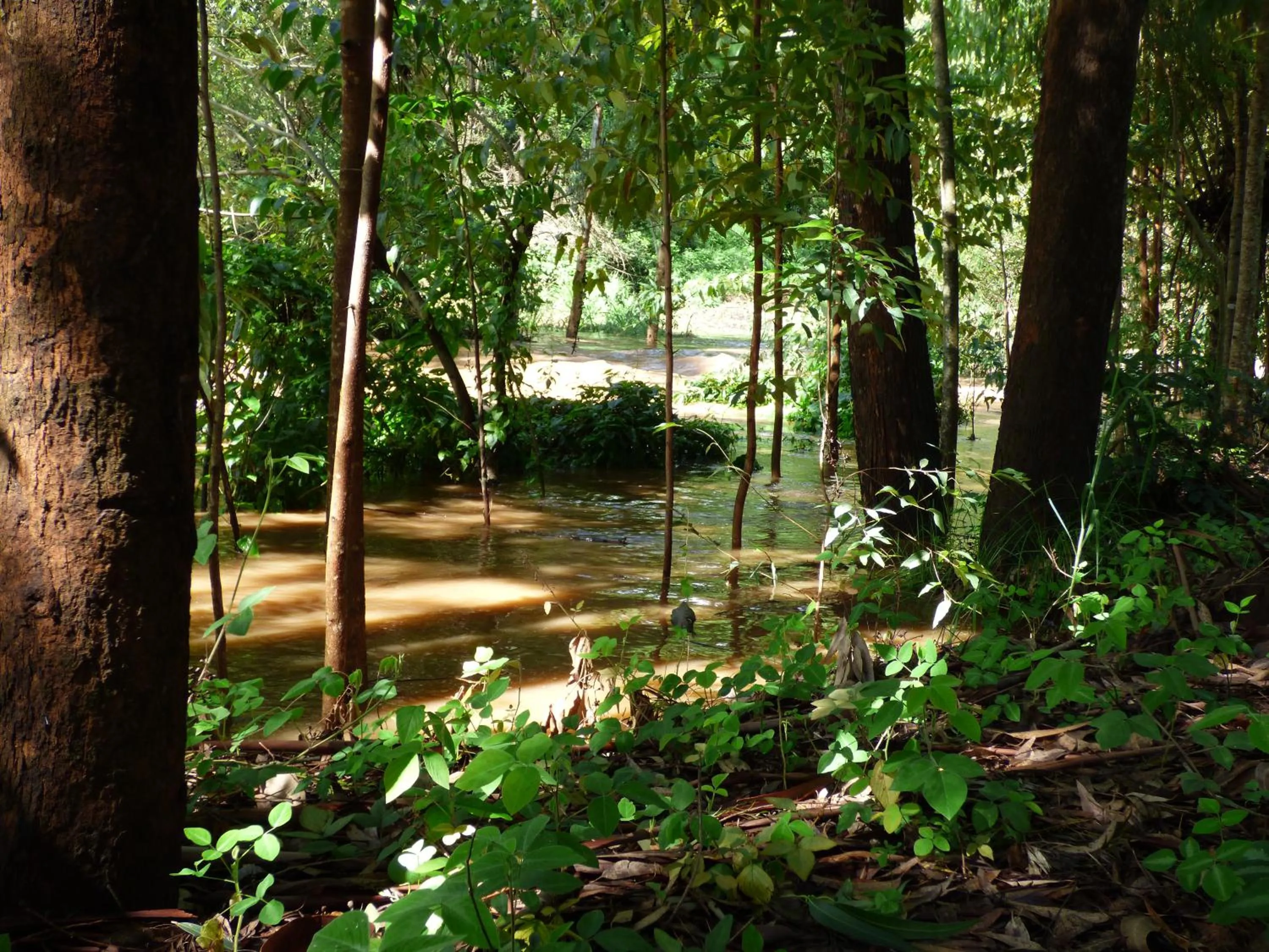 Neighbourhood in Le Pristine Wellness and Healing Hotel