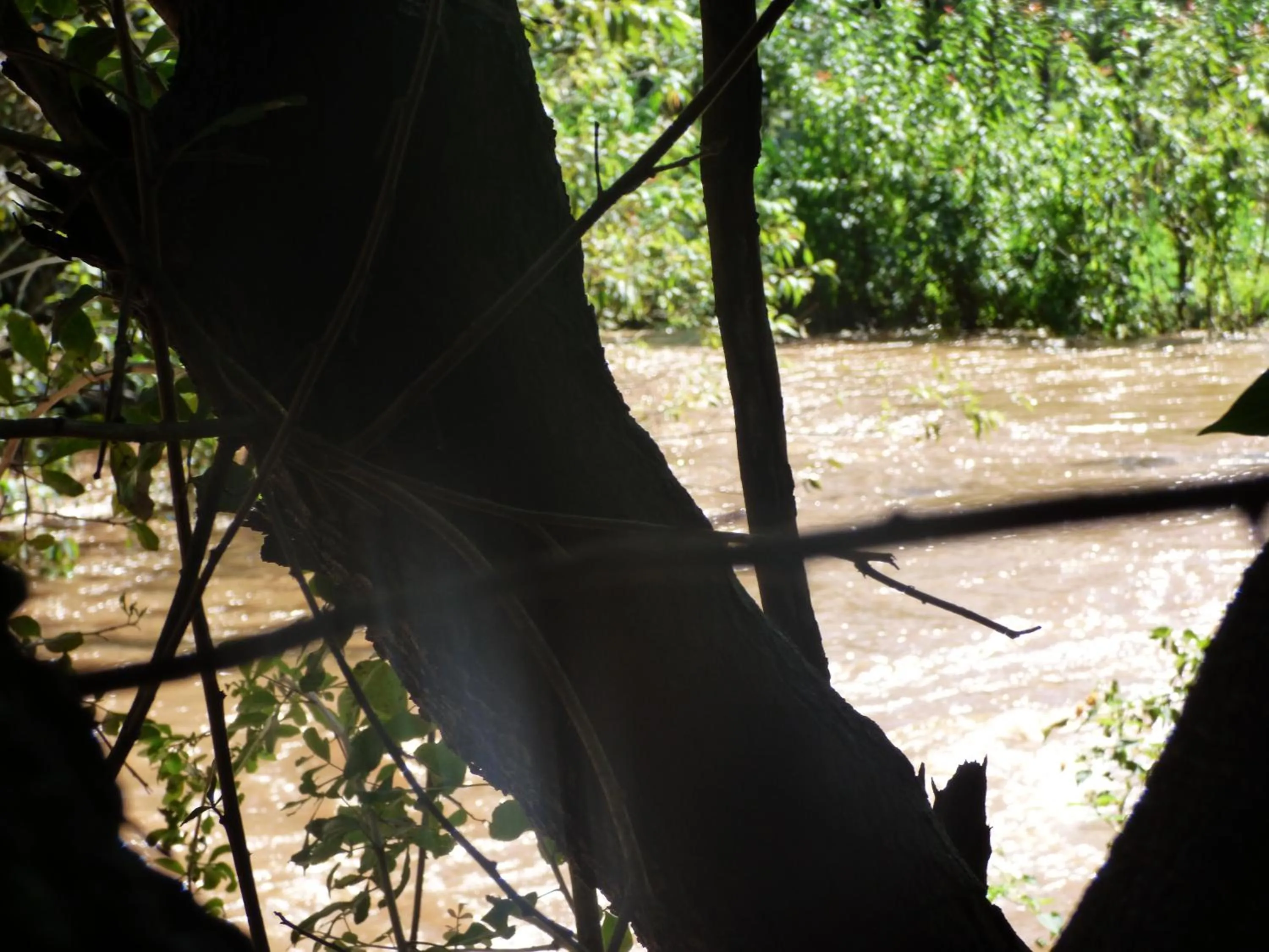 Natural landscape in Le Pristine Wellness and Healing Hotel