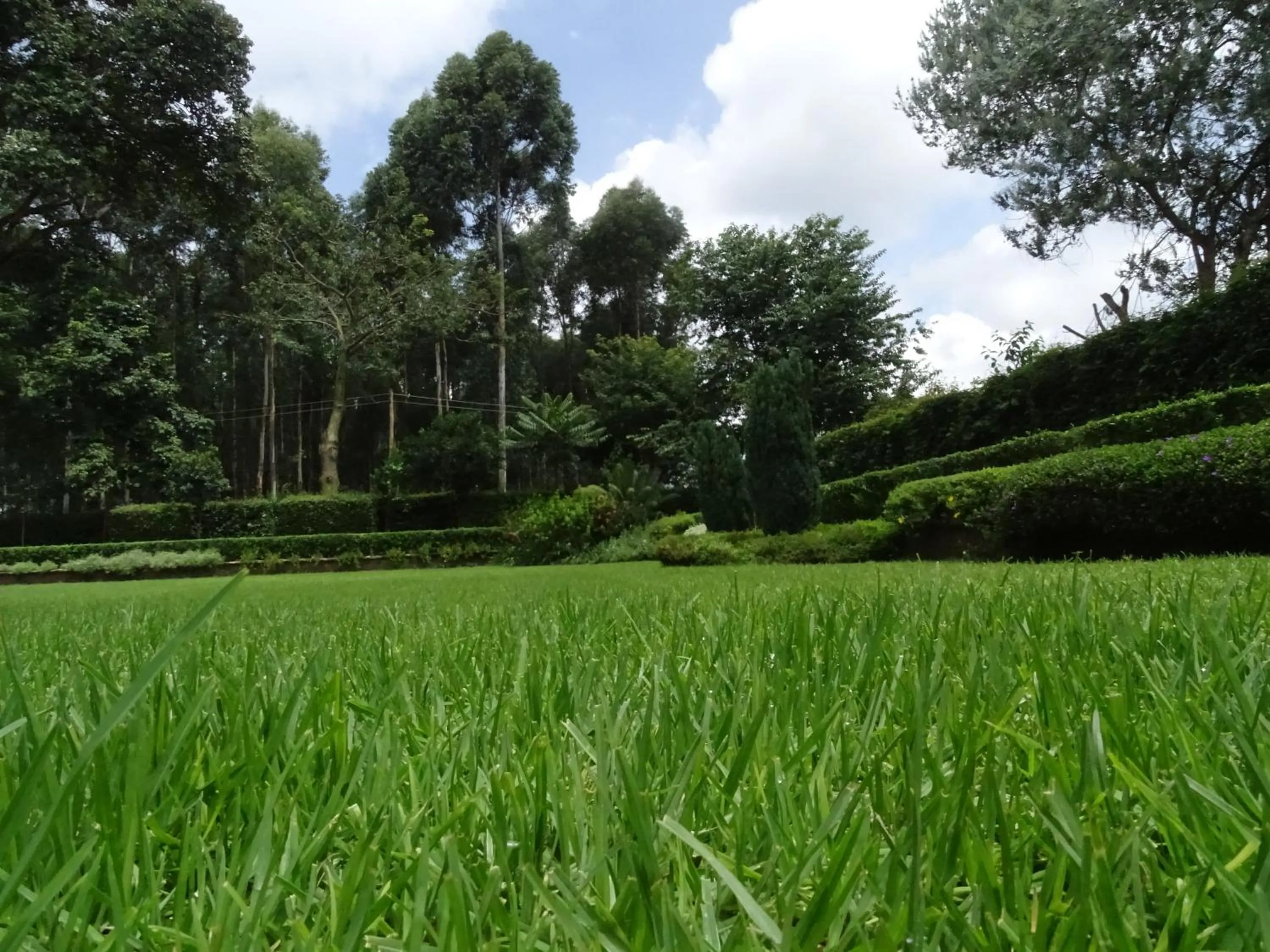 Garden in Le Pristine Wellness and Healing Hotel