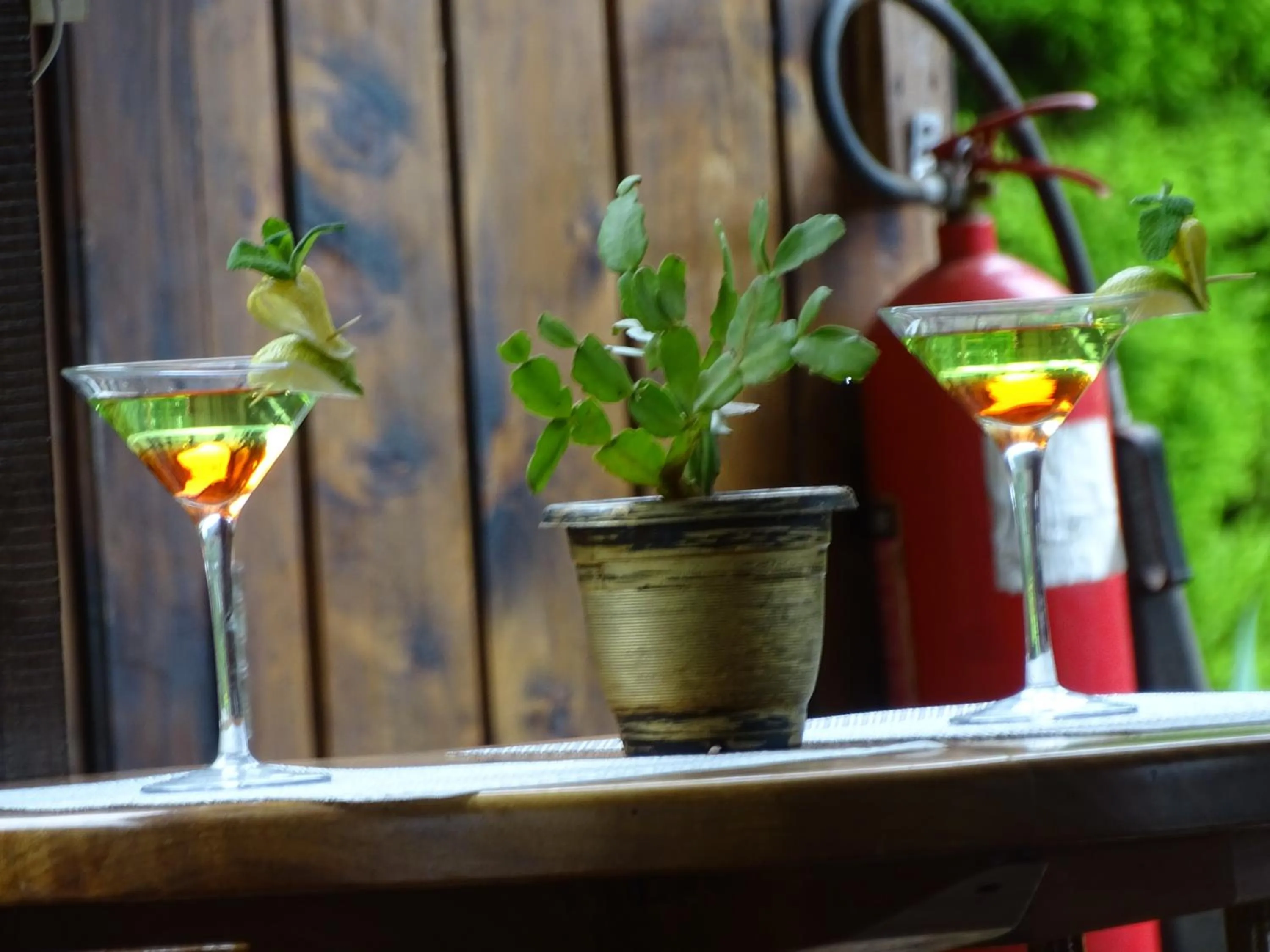 Restaurant/places to eat in Le Pristine Wellness and Healing Hotel