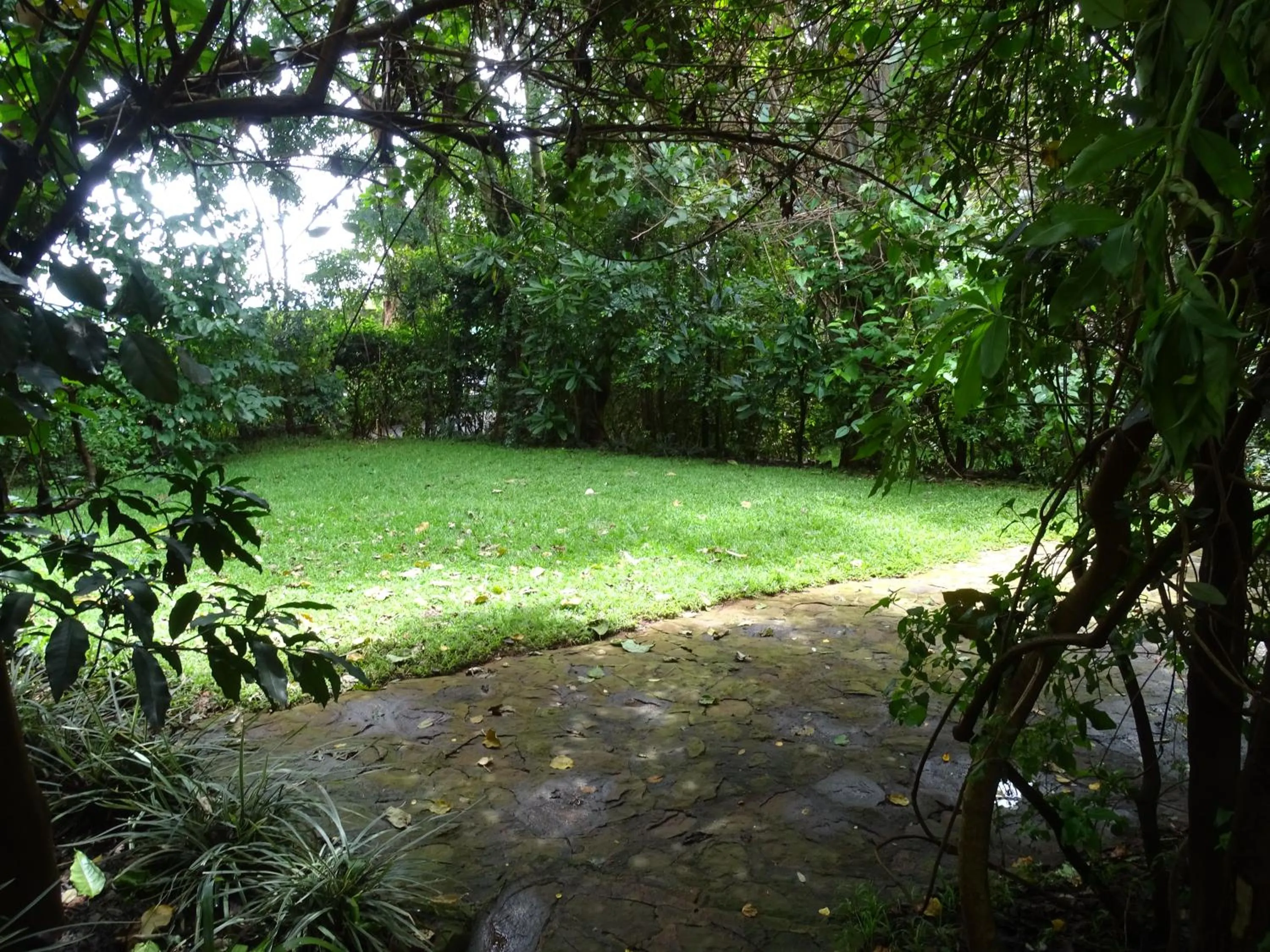 Garden in Le Pristine Wellness and Healing Hotel