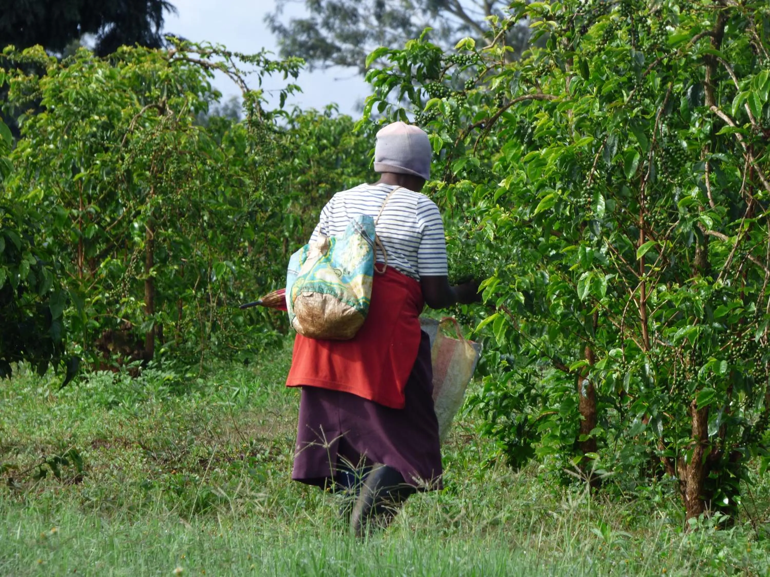 Neighbourhood in Le Pristine Wellness and Healing Hotel