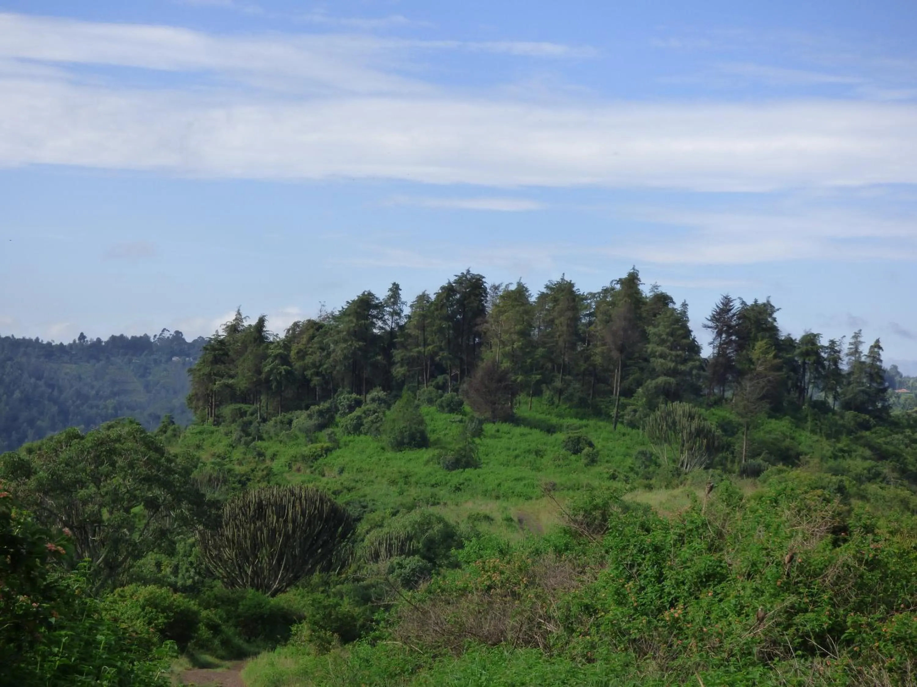 Neighbourhood in Le Pristine Wellness and Healing Hotel