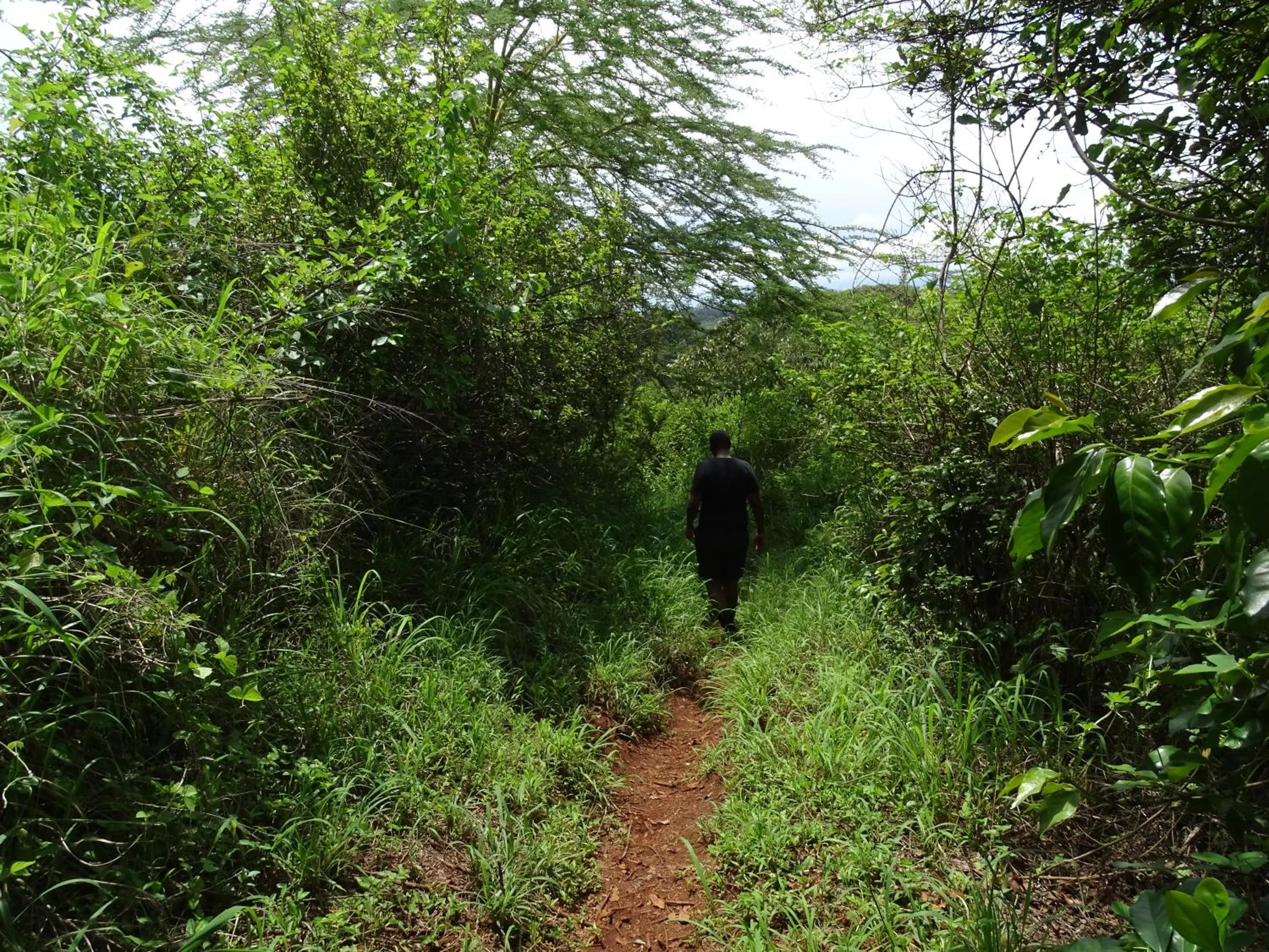 Natural landscape in Le Pristine Wellness and Healing Hotel