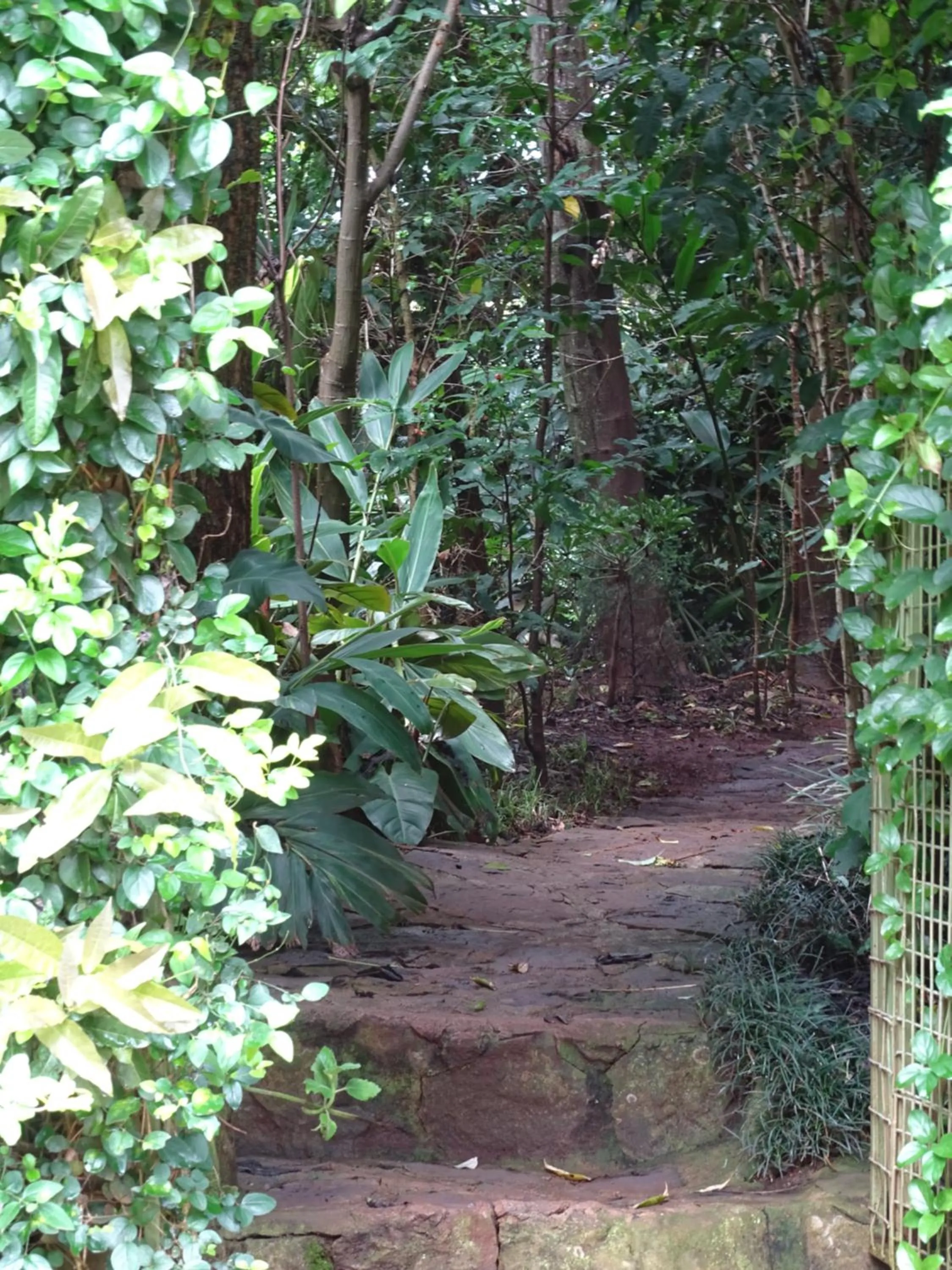 Day in Le Pristine Wellness and Healing Hotel