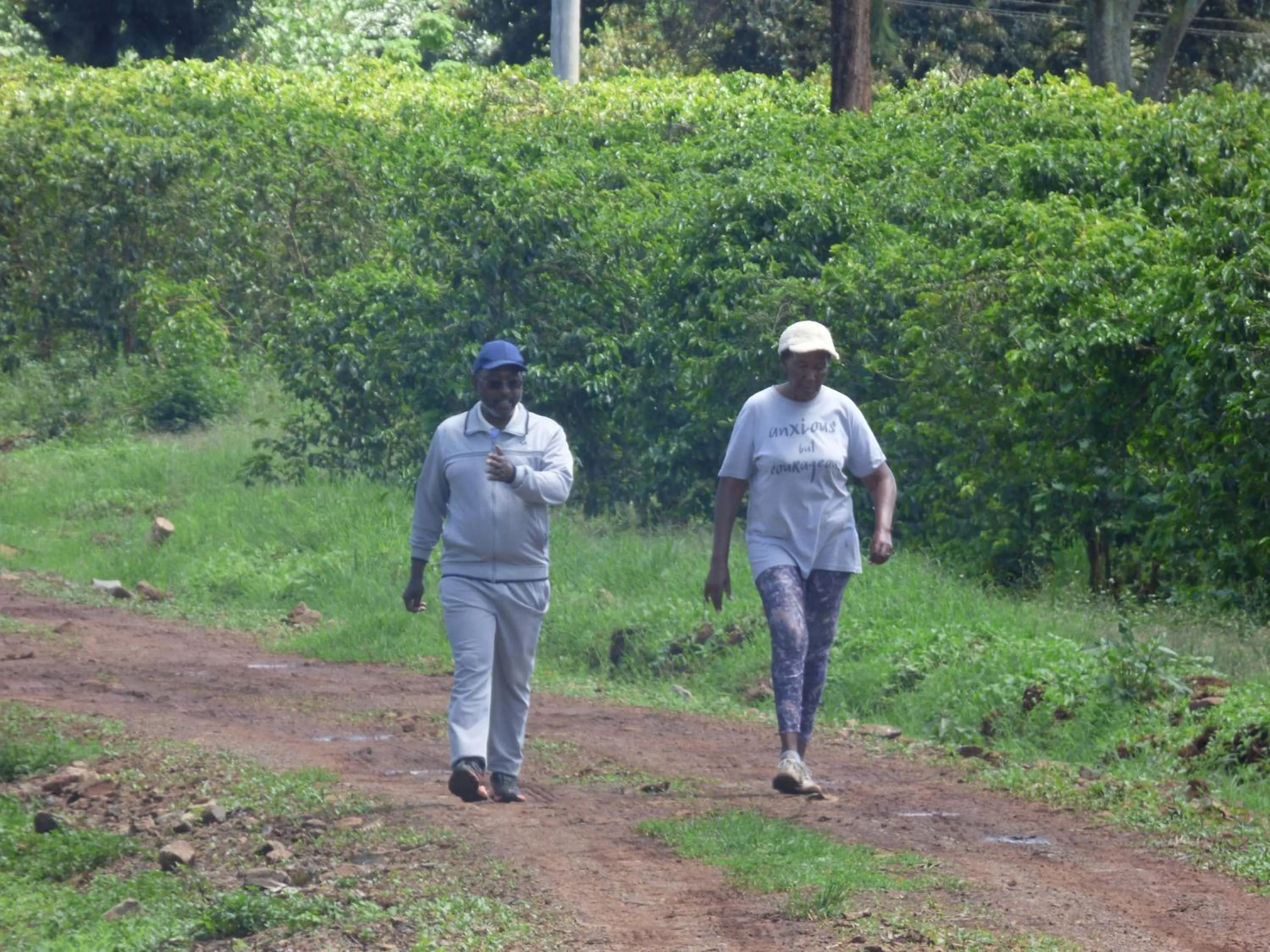 Activities in Le Pristine Wellness and Healing Hotel
