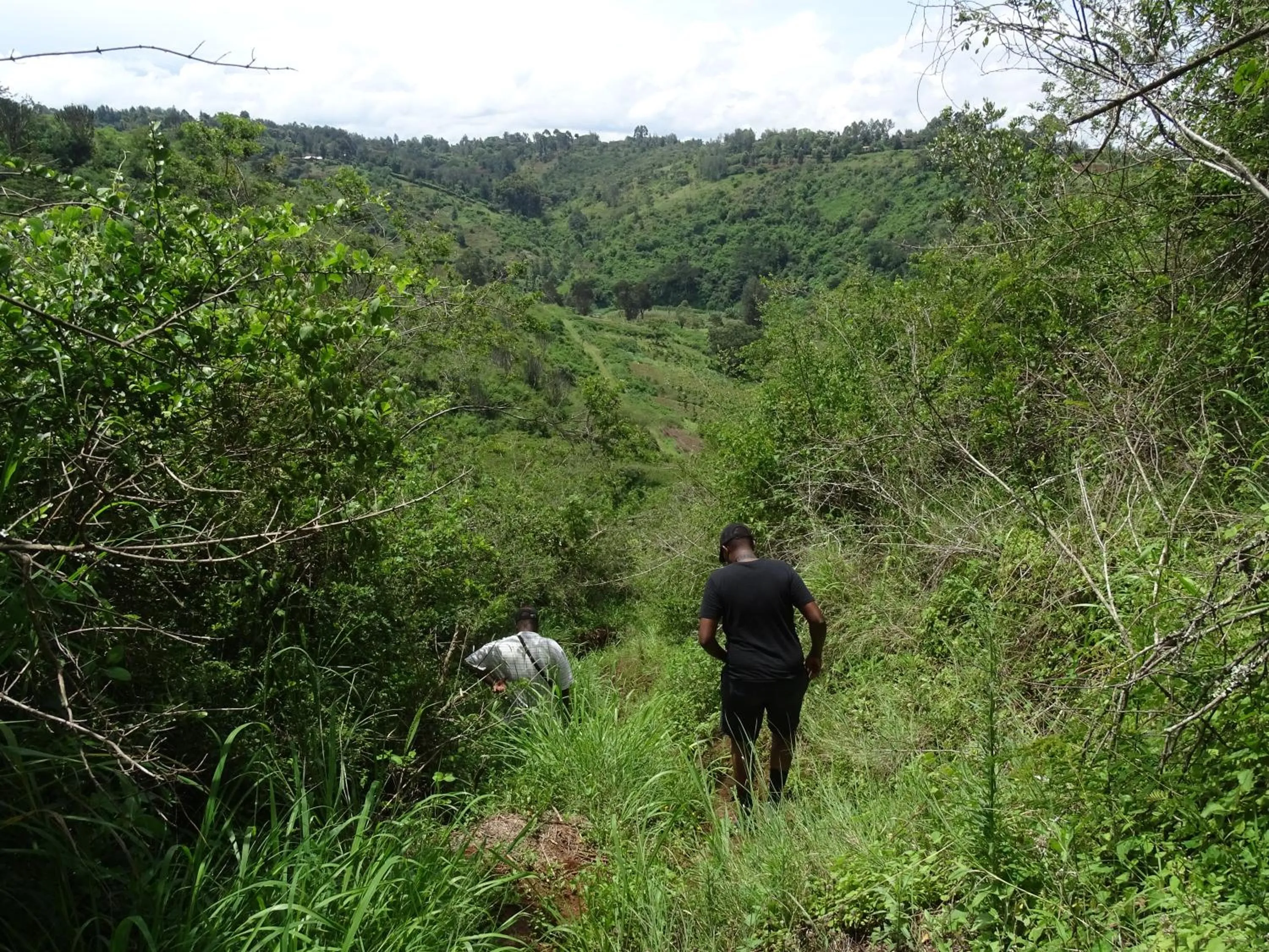 People in Le Pristine Wellness and Healing Hotel