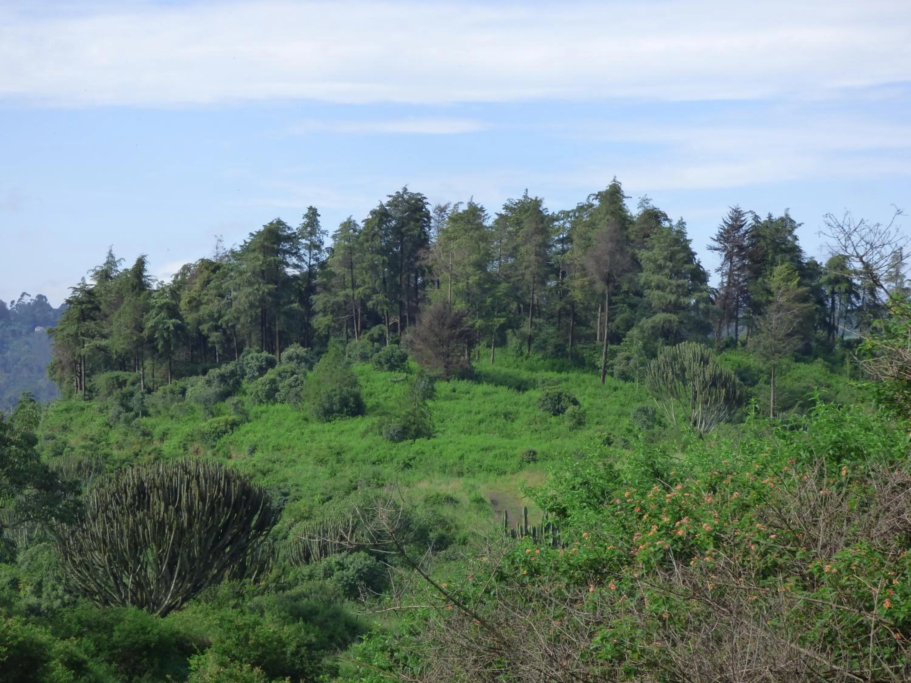 Neighbourhood in Le Pristine Wellness and Healing Hotel