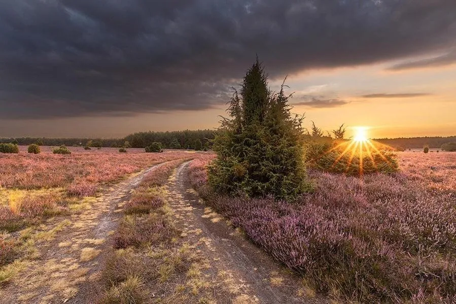 On site in Hotel Zur Heidschnucke - Spa & Nature Resort