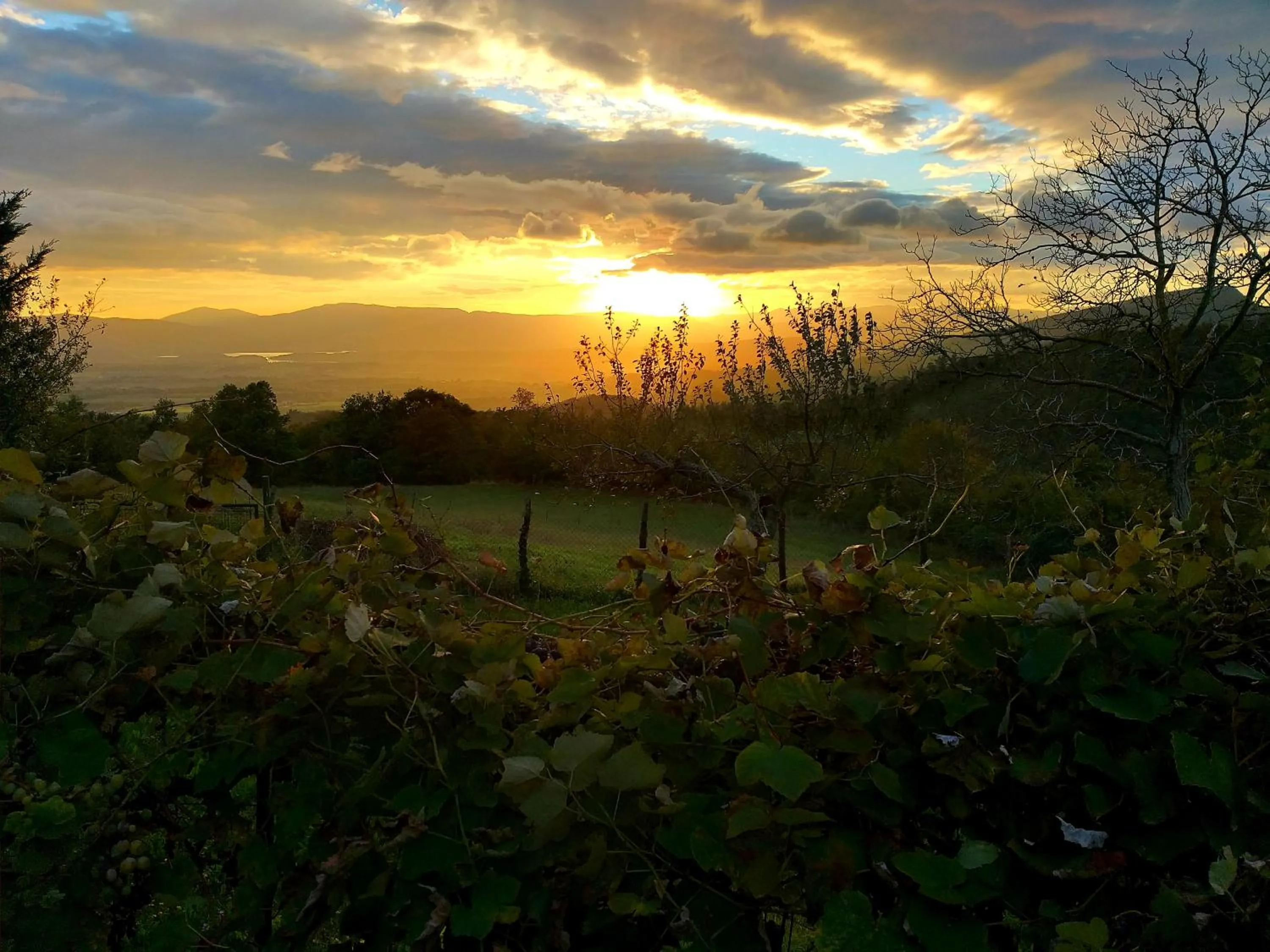 Sunset in Villa Giuliana B&B