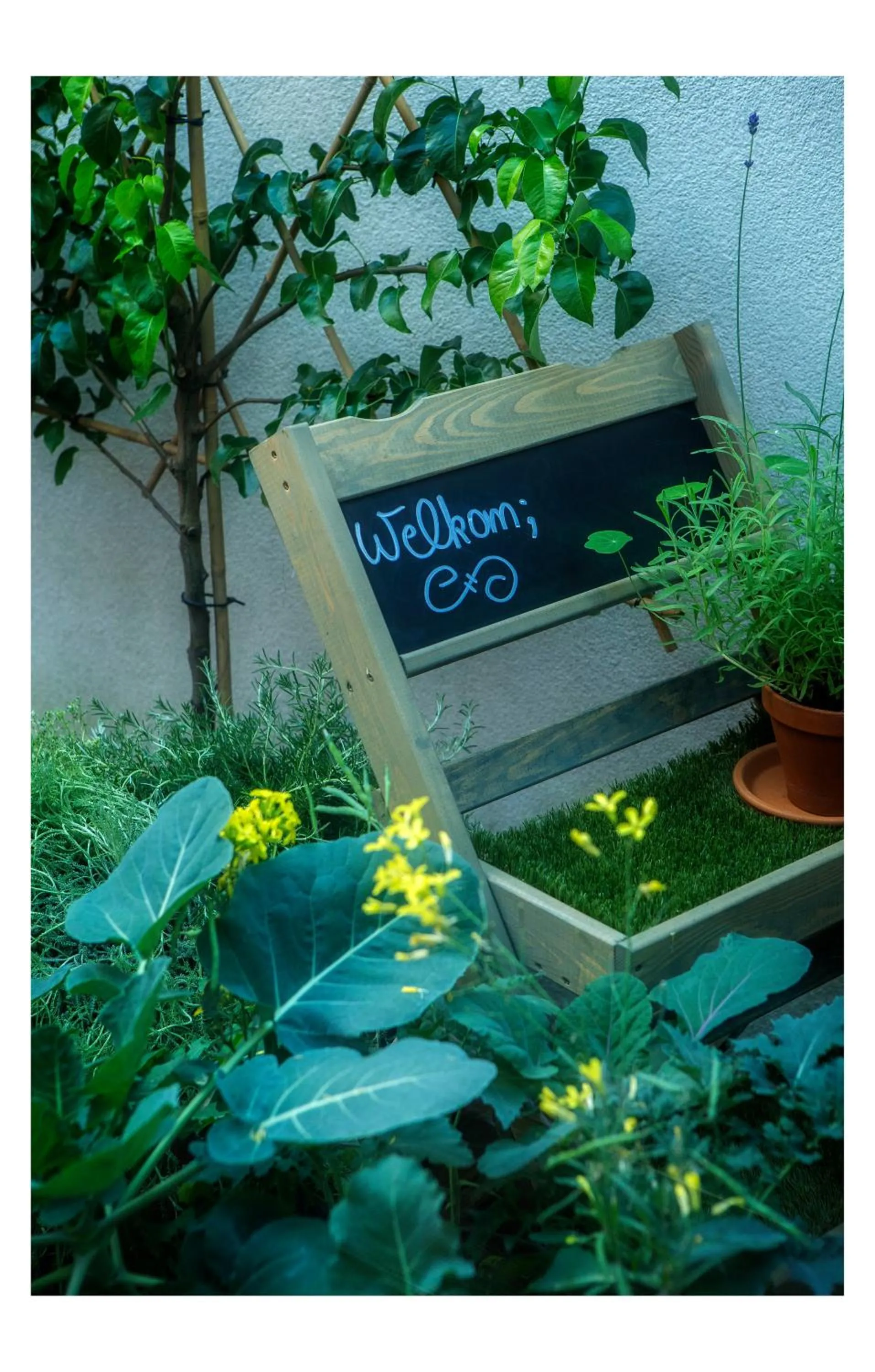 Patio in Hotel Restaurant Vous lé Vous