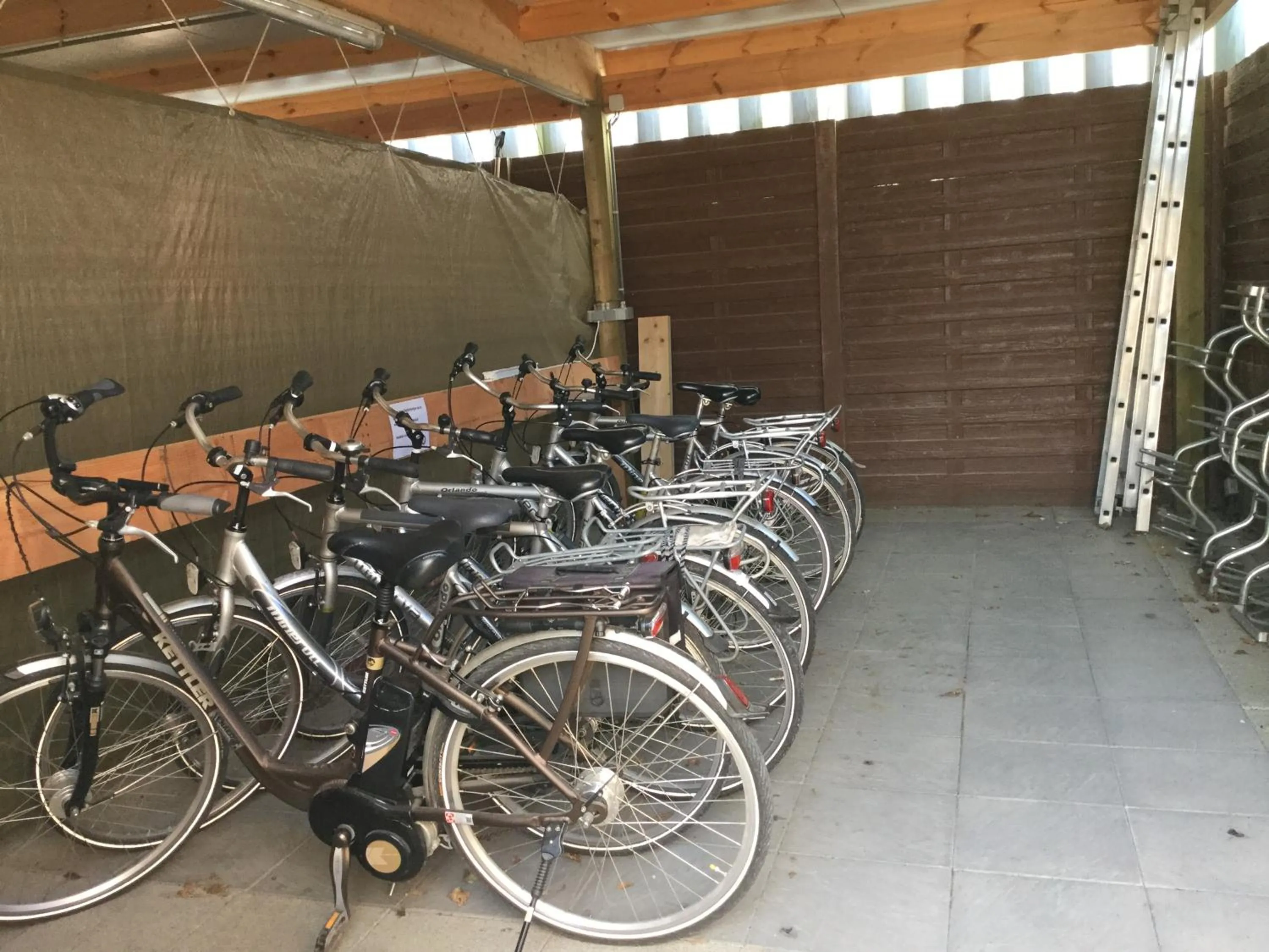 Cycling in Hotel Monika