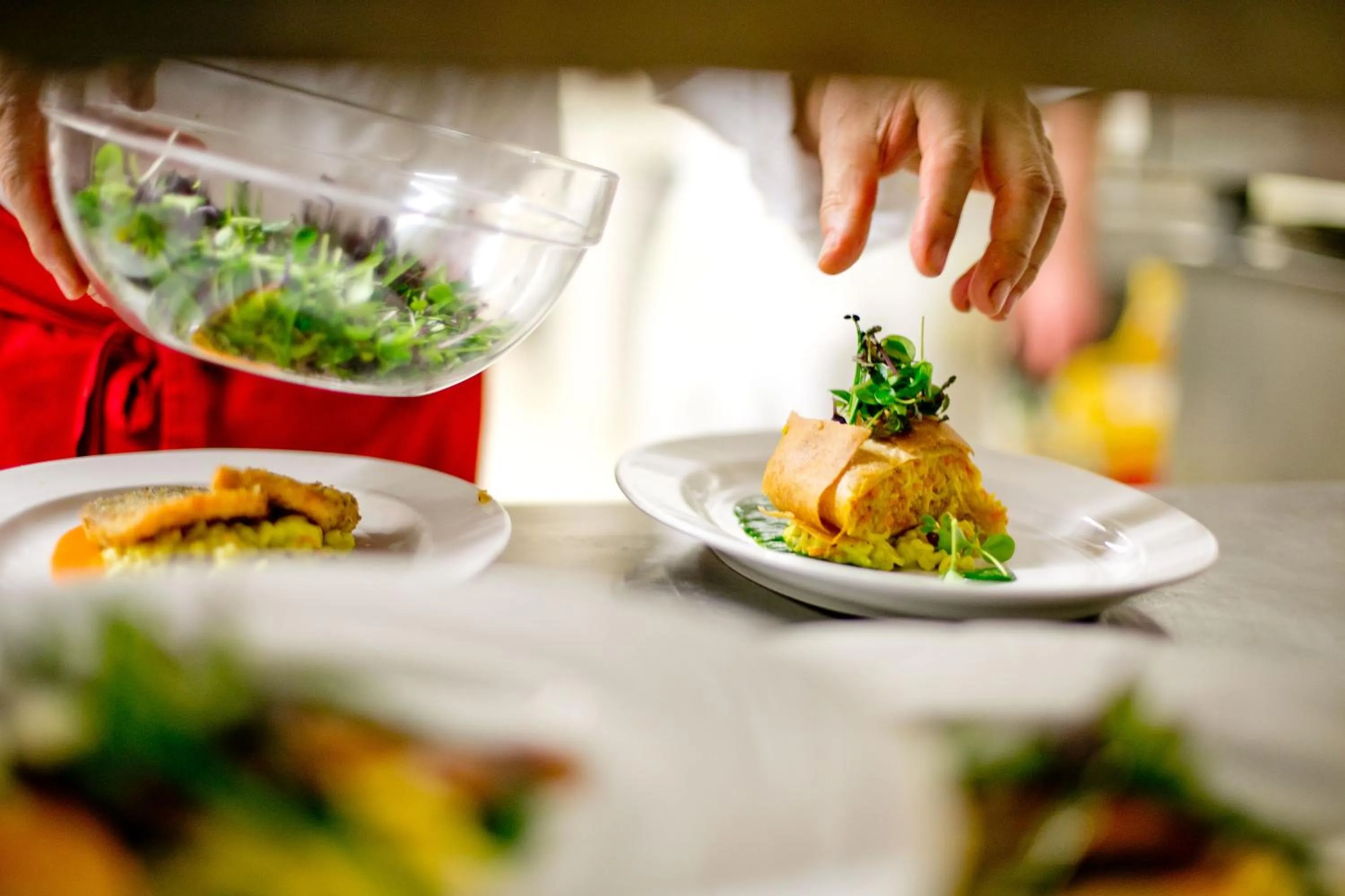 Food in Hotel NockResort