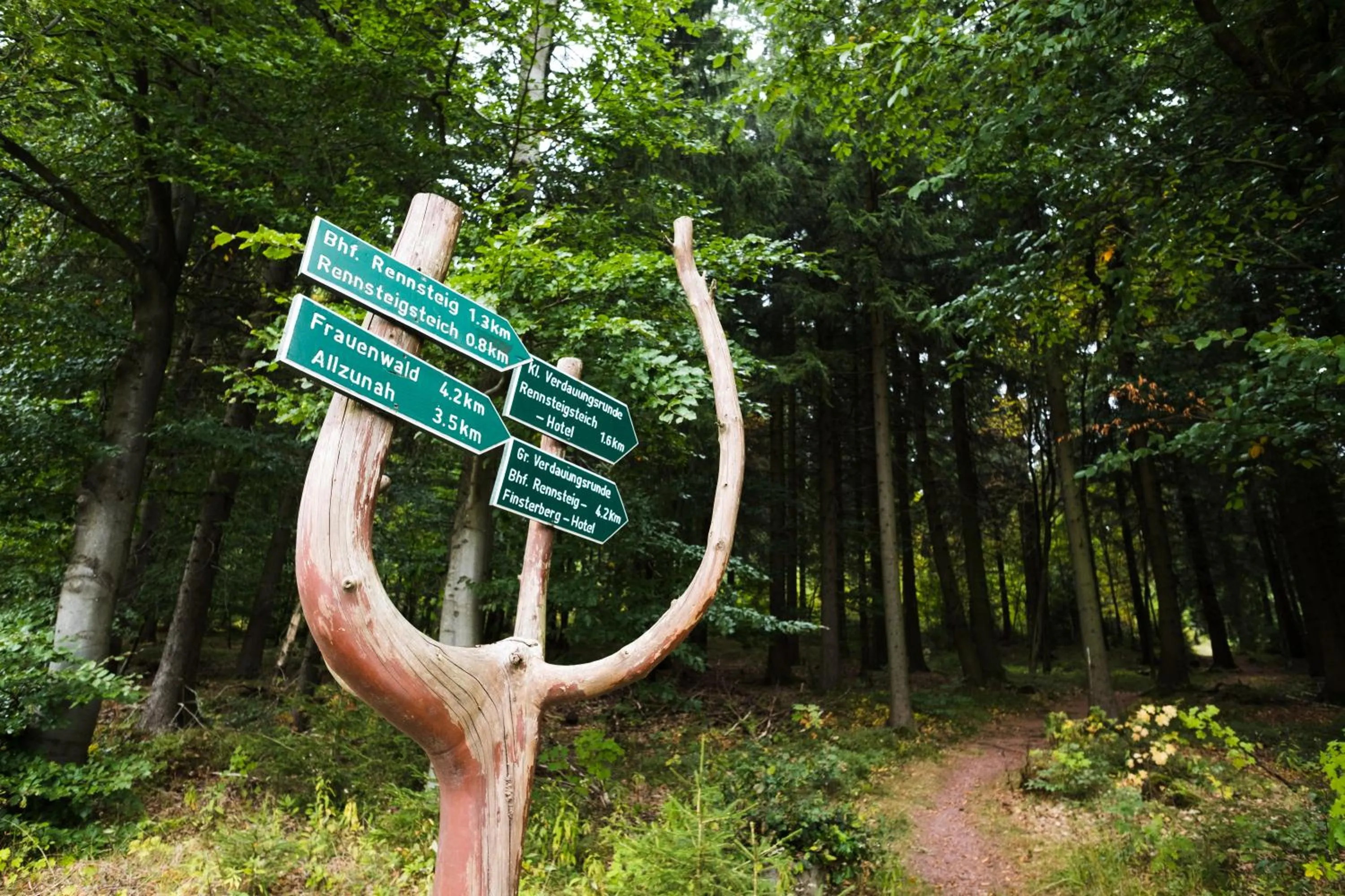 Natural landscape in Gastinger Hotel-Restaurant