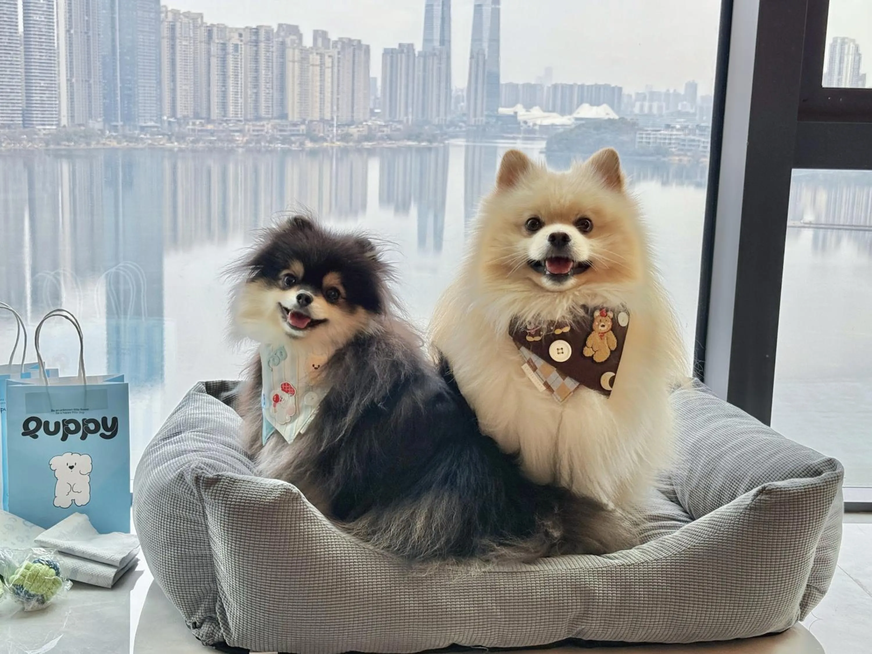 Animals in The Meixi Lake, Changsha Marriott Executive Apartments