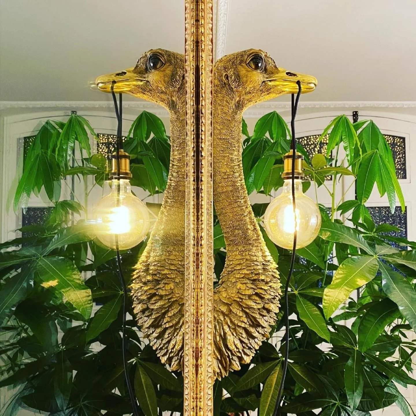 Lobby or reception in Le Rez de Jardin Albi