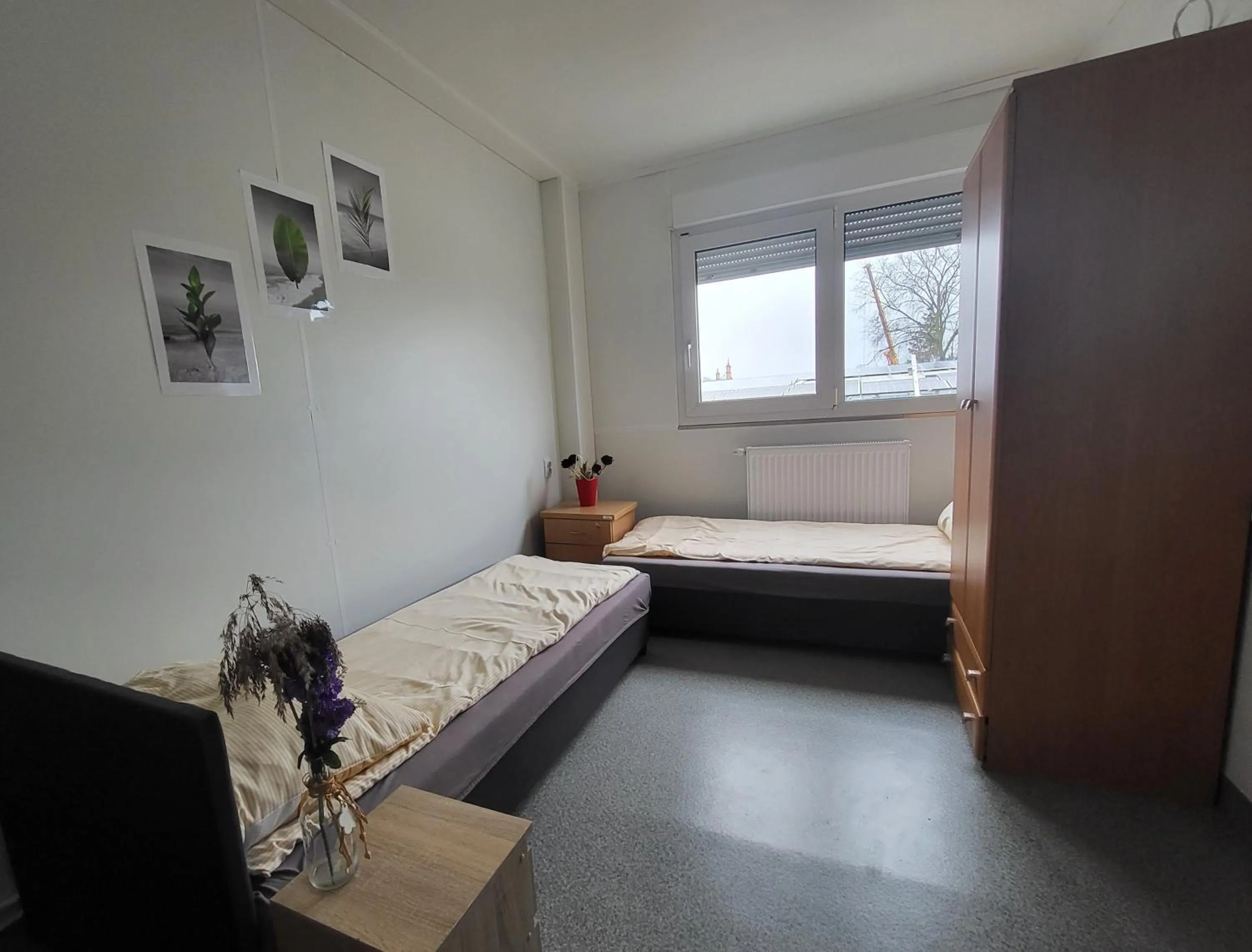 Hostel Atena
