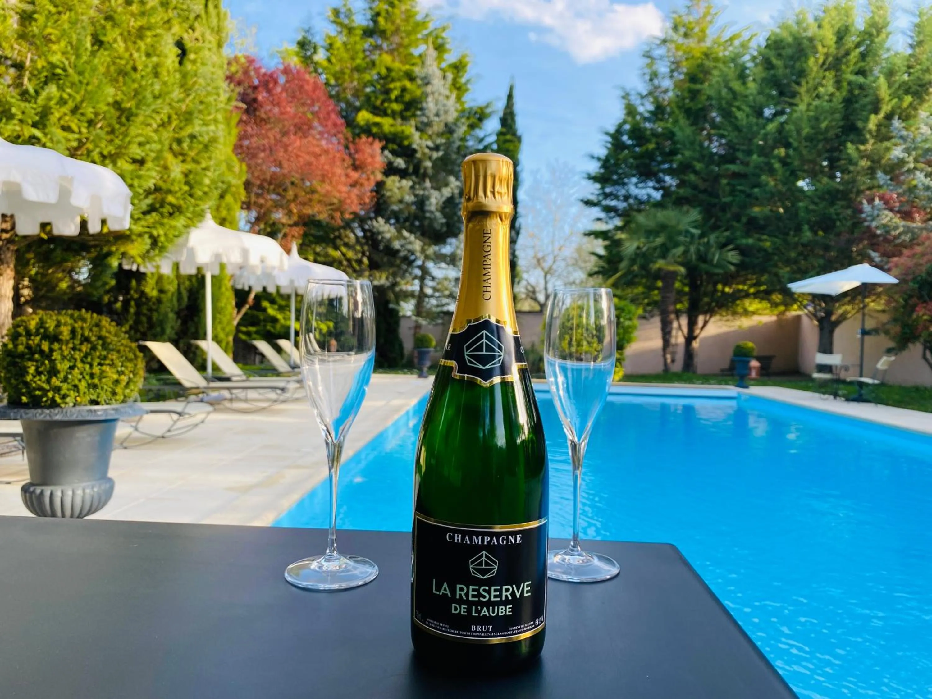 Swimming pool in LA RÉSERVE DE L'AUBE - Hébergements insolites Luxe et Design