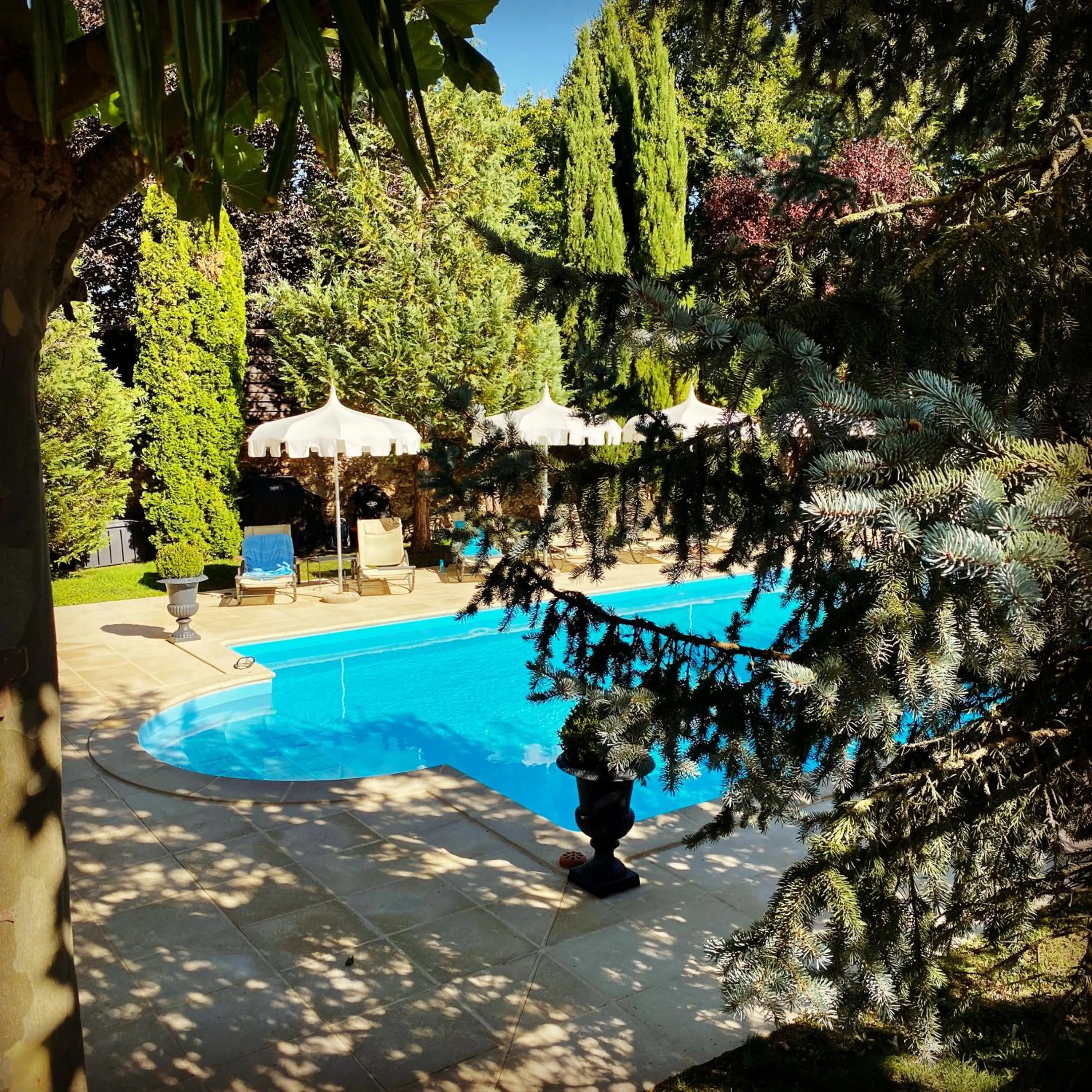 Swimming pool in LA RÉSERVE DE L'AUBE - Hébergements insolites Luxe et Design