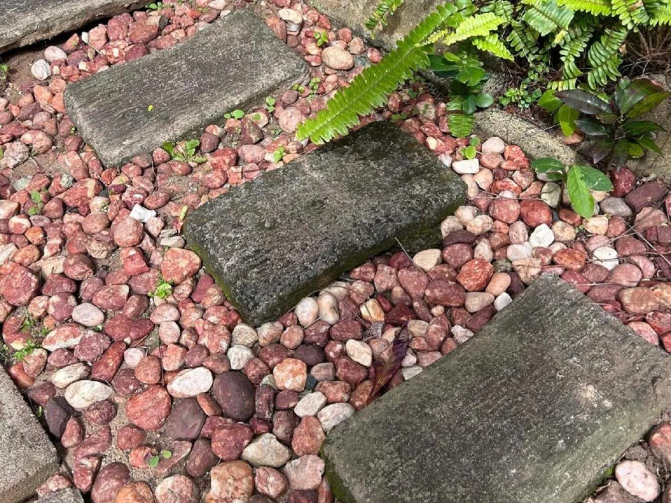 Garden in Waves of Mercy