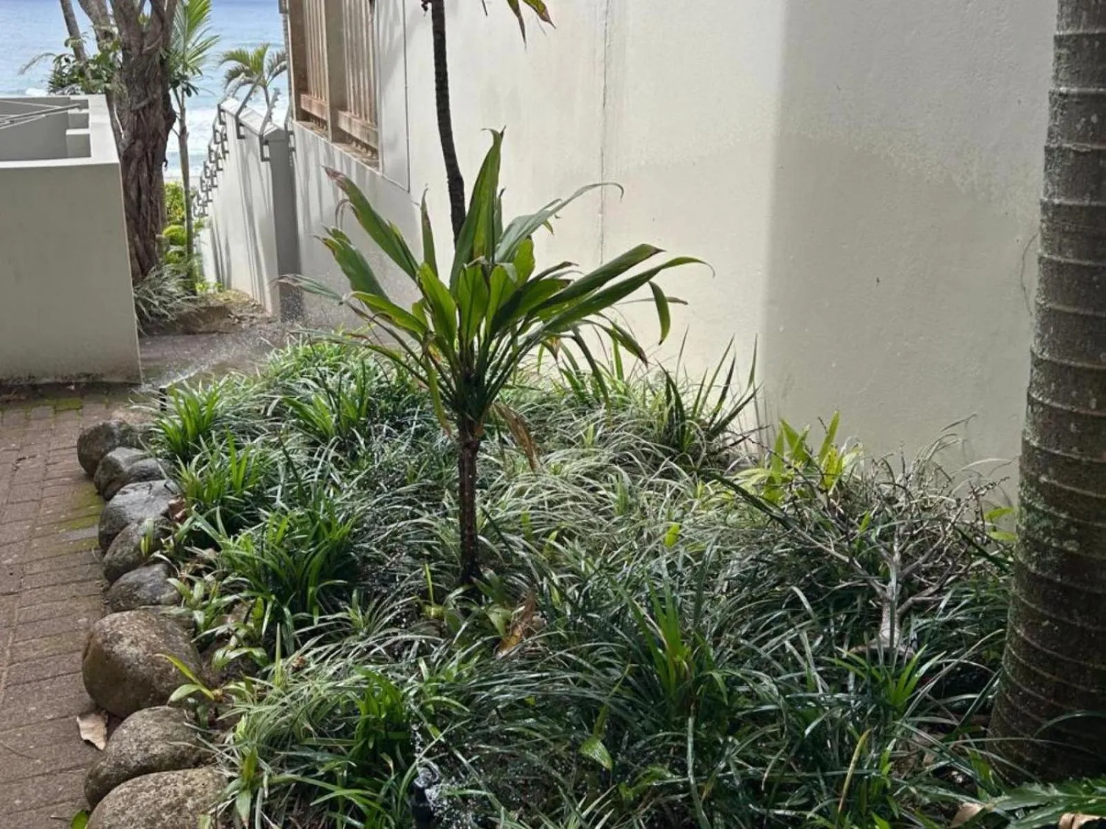 Garden in Waves of Mercy